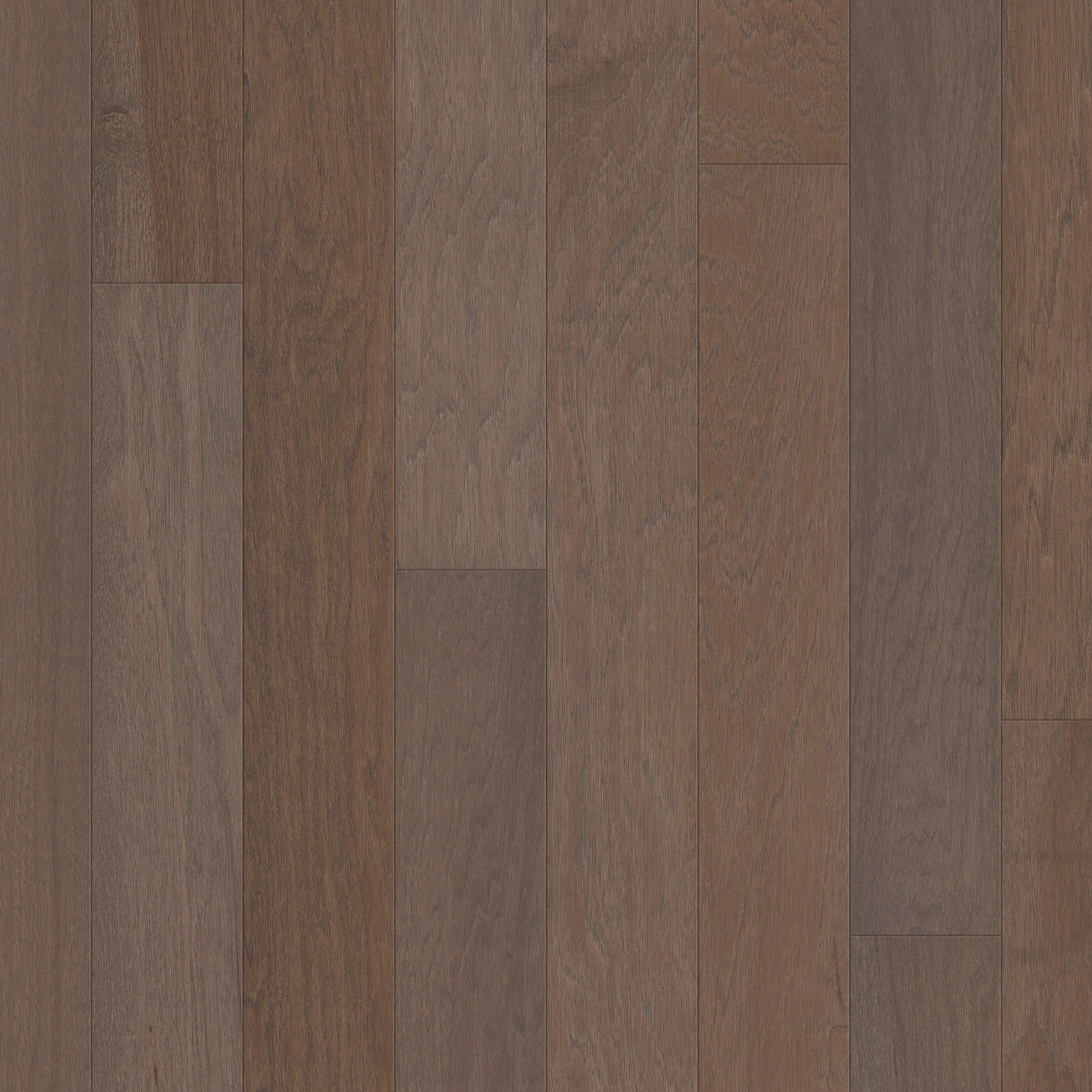 Chestnut swatch