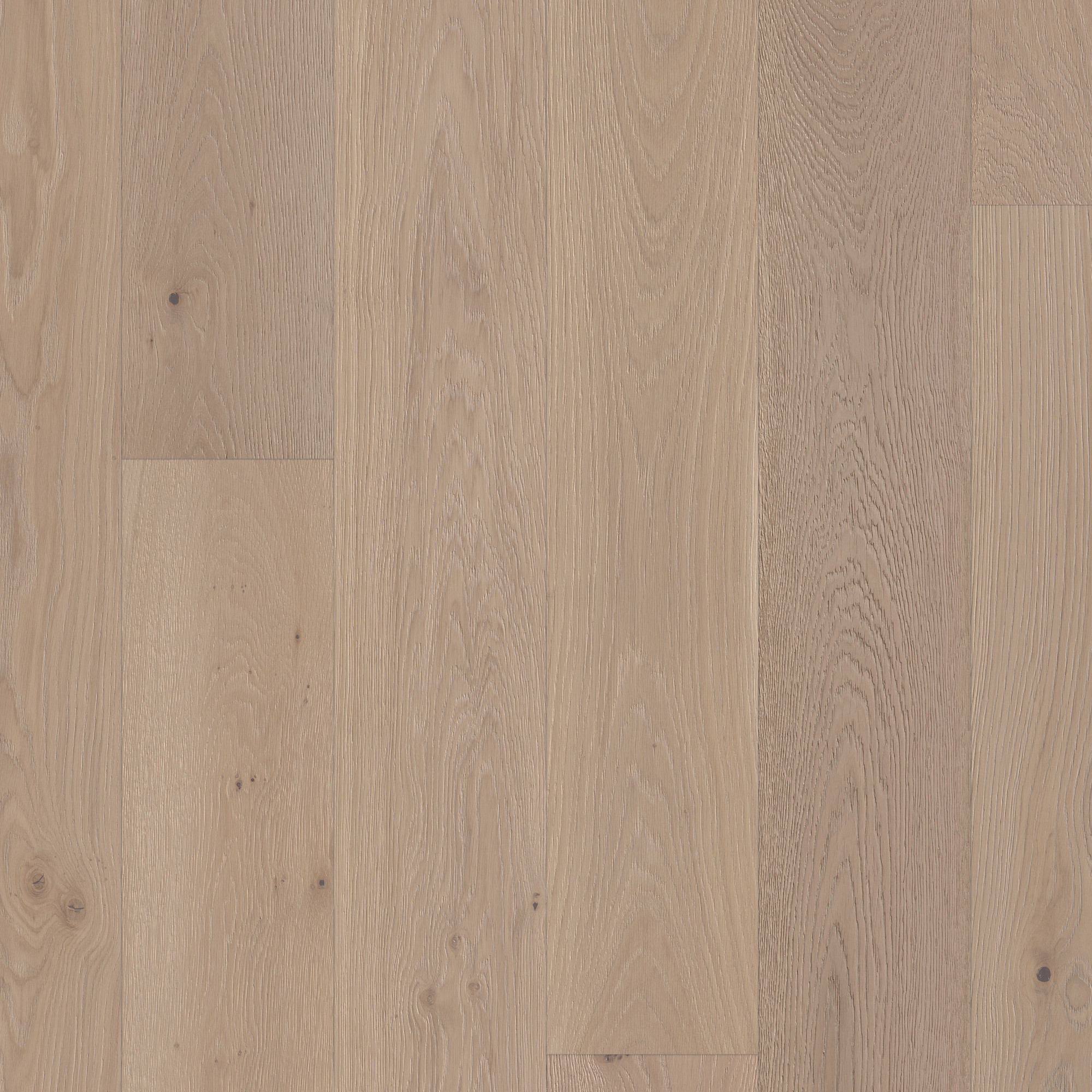 Ashen swatch