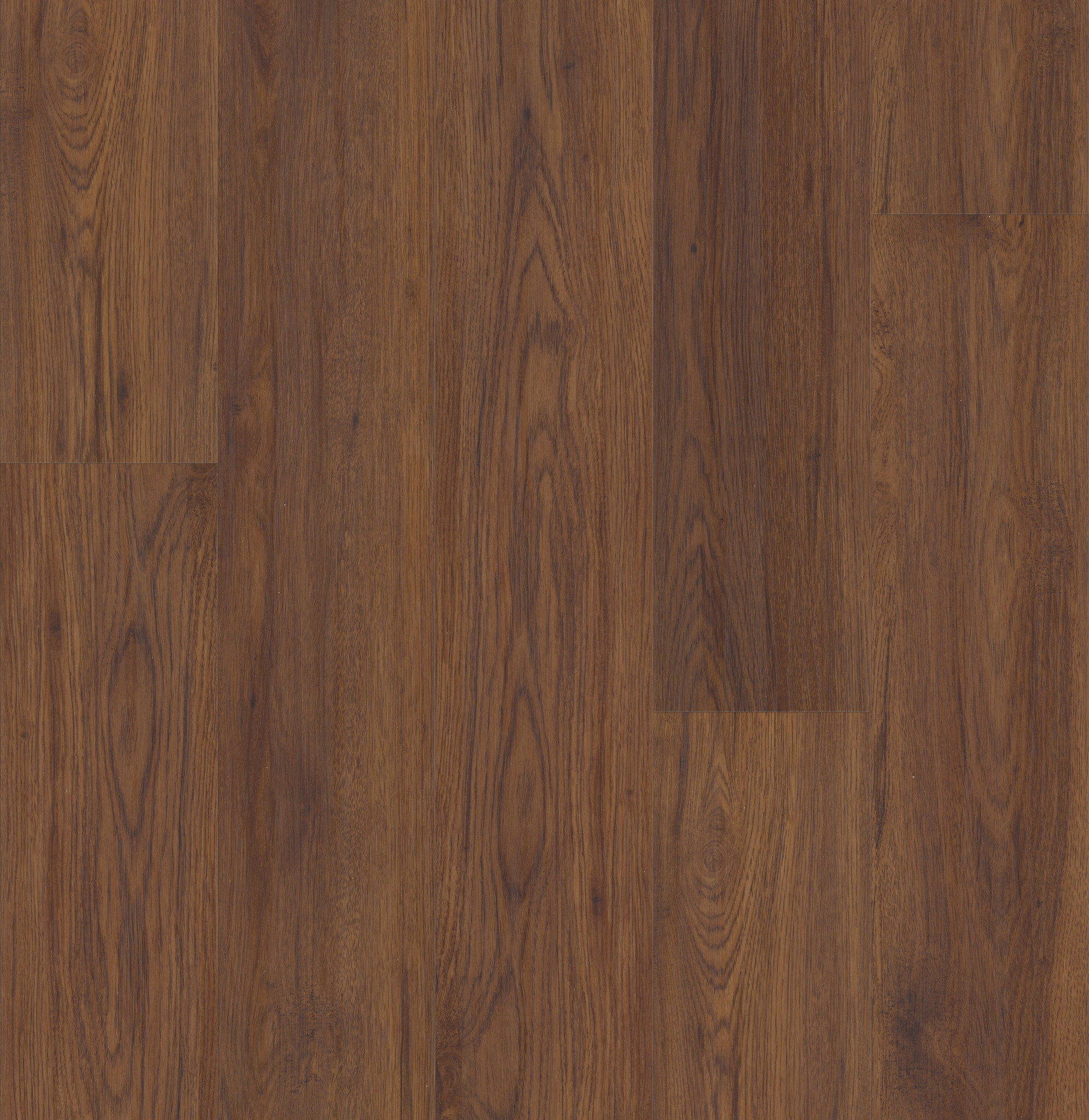 Fidalgo Oak swatch