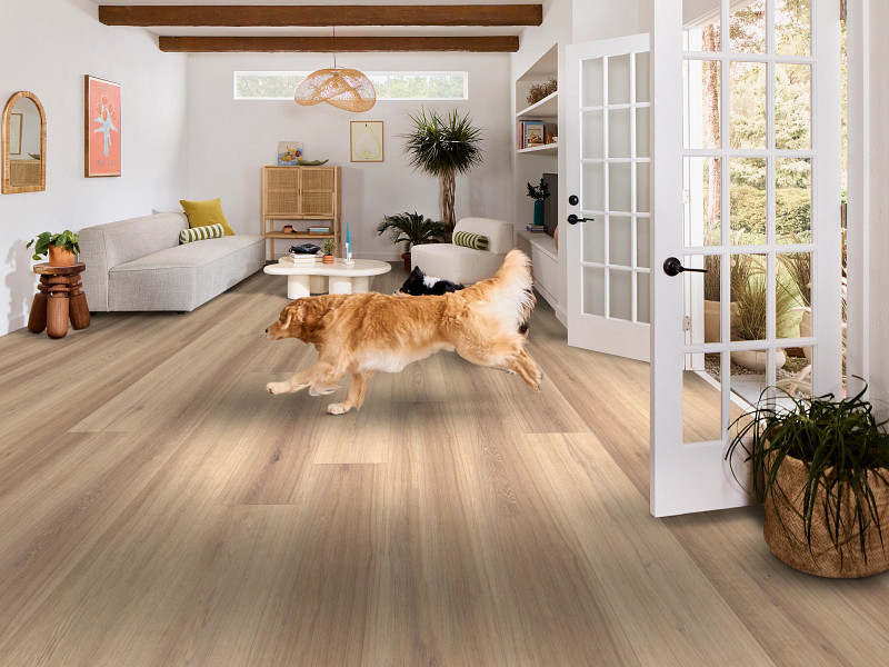 Flax Oak flooring in a room