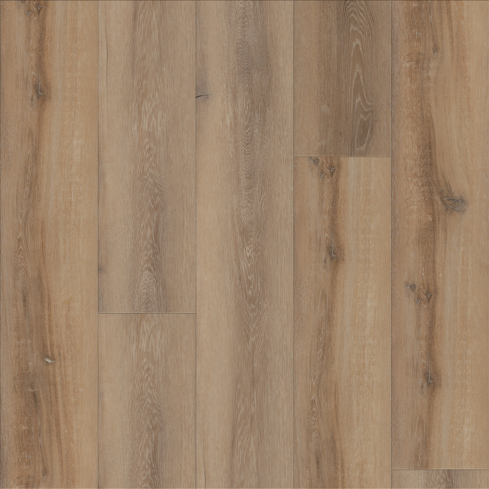 Coretta Oak, laid flat, seen from above