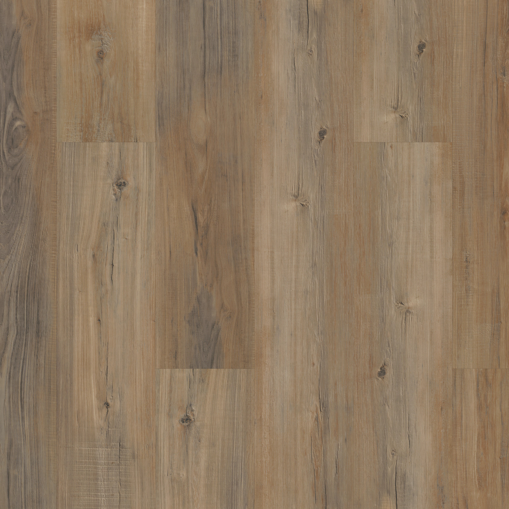 Edinburgh Oak swatch
