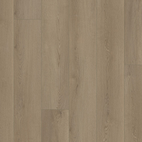Driftwood Taupe