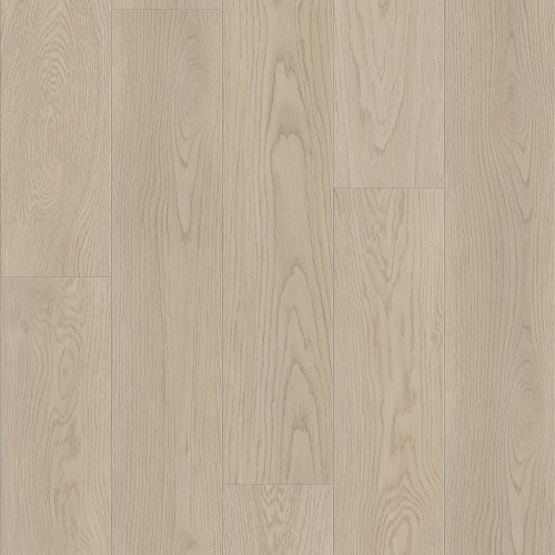 Shell Taupe