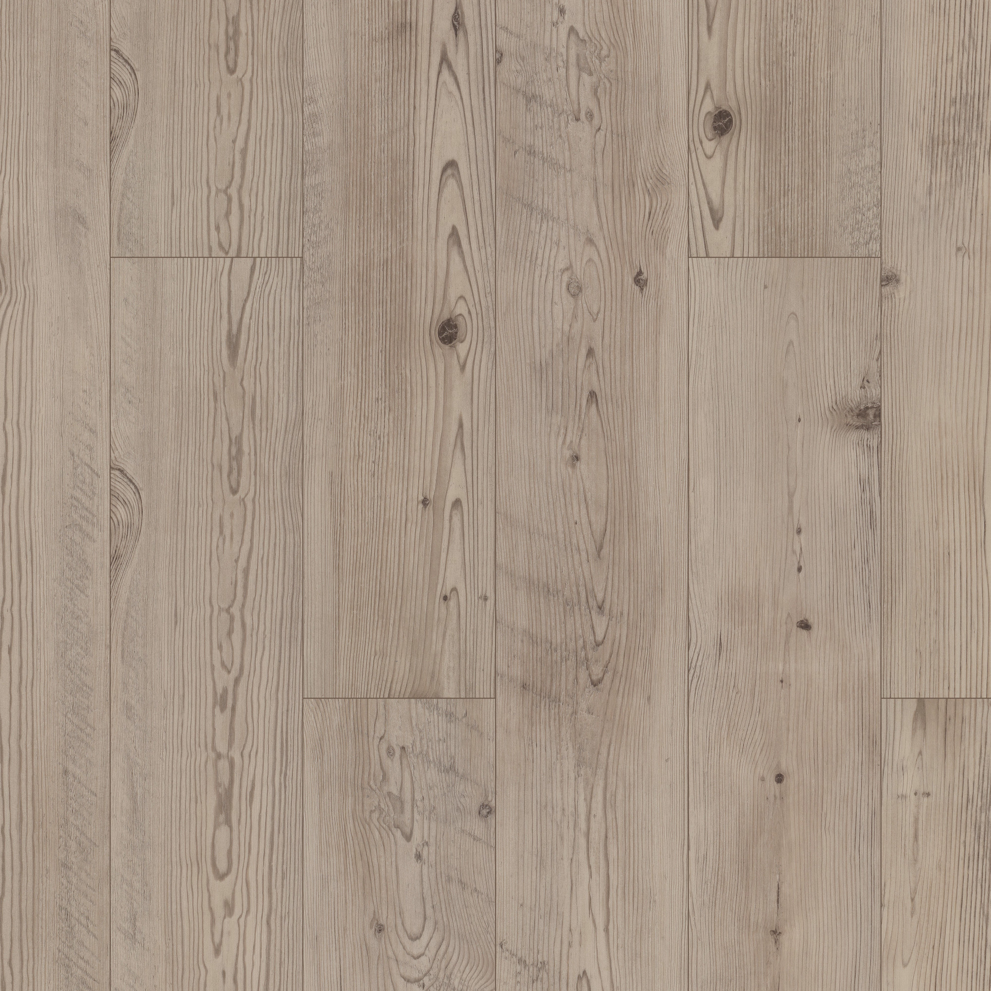 Prestique Pine swatch