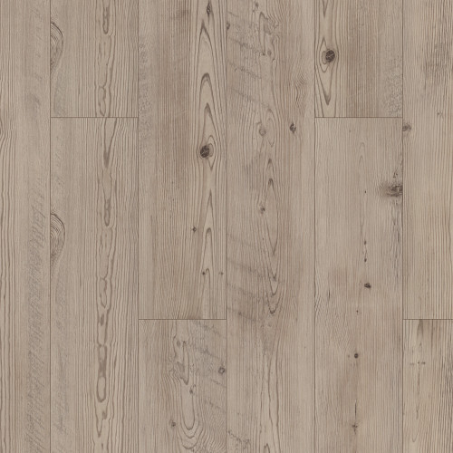 Prestique Pine