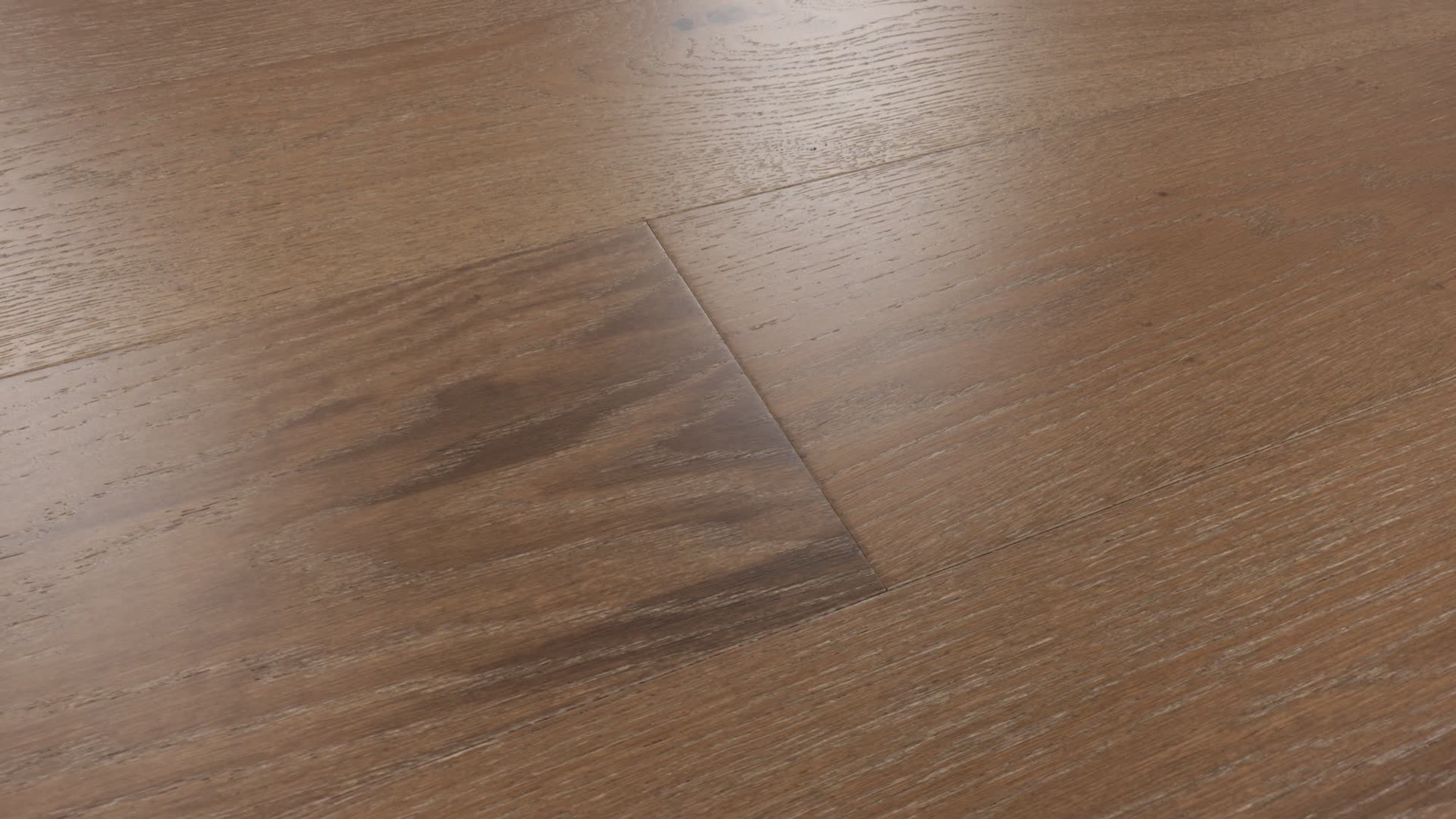 Brioche, the manufacturer's 360 video