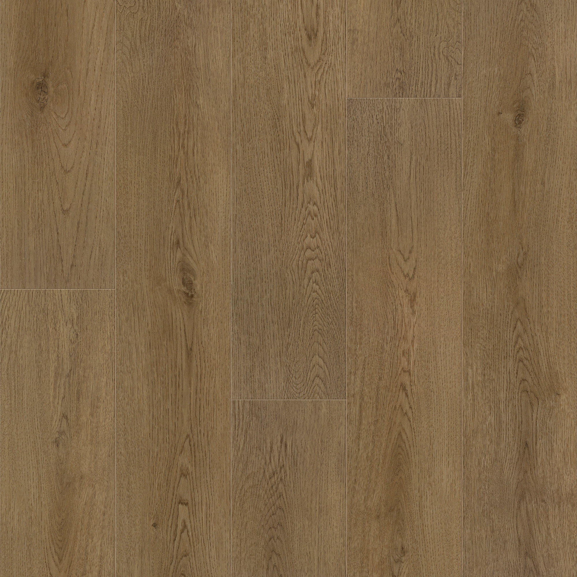 Plainfield Oak swatch
