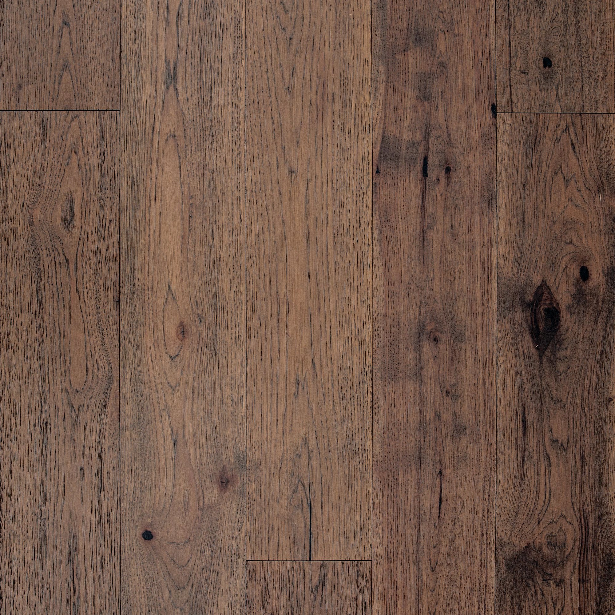 Mushroom swatch