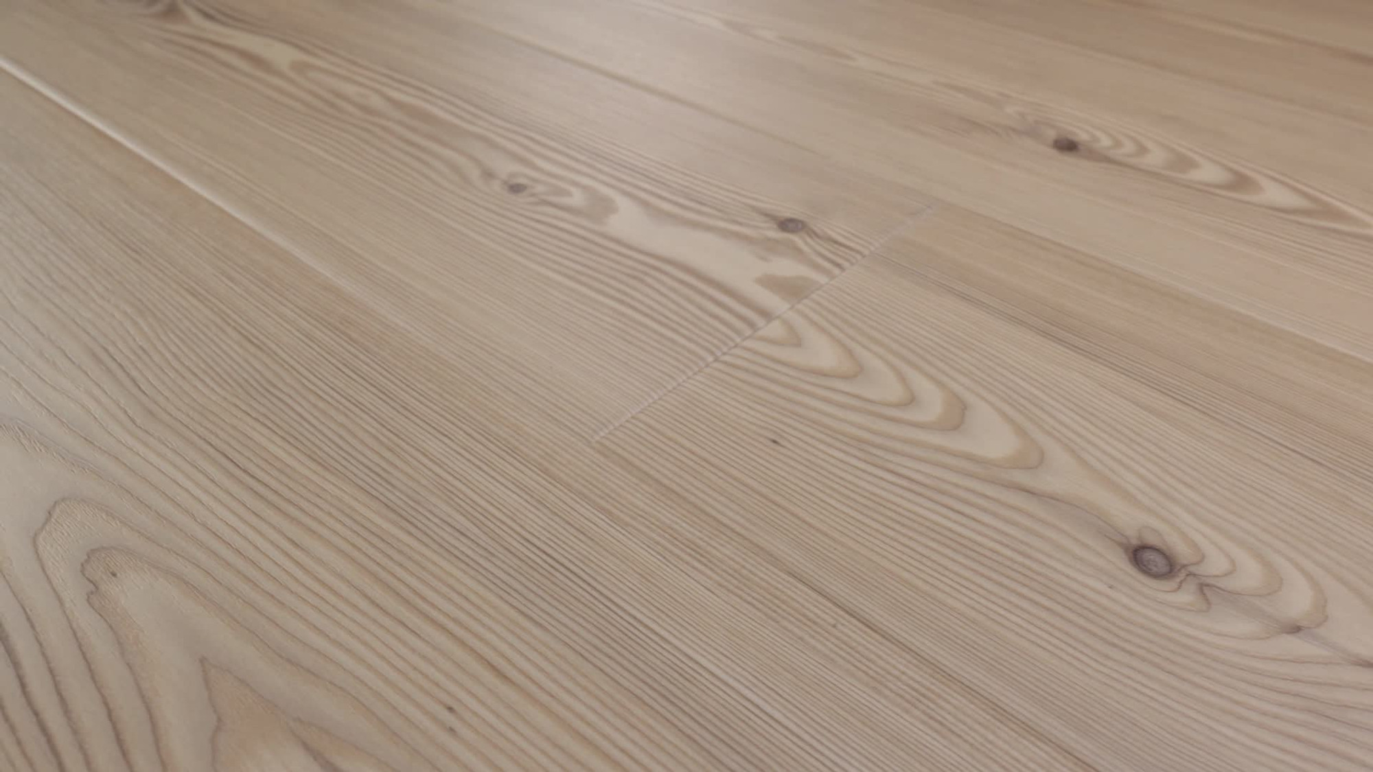 Lodge, the manufacturer's 360 video