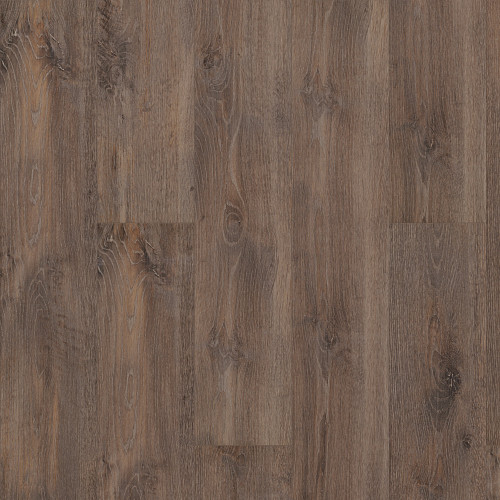 Chapman, Shaw Floors · Allegiance + Acc
