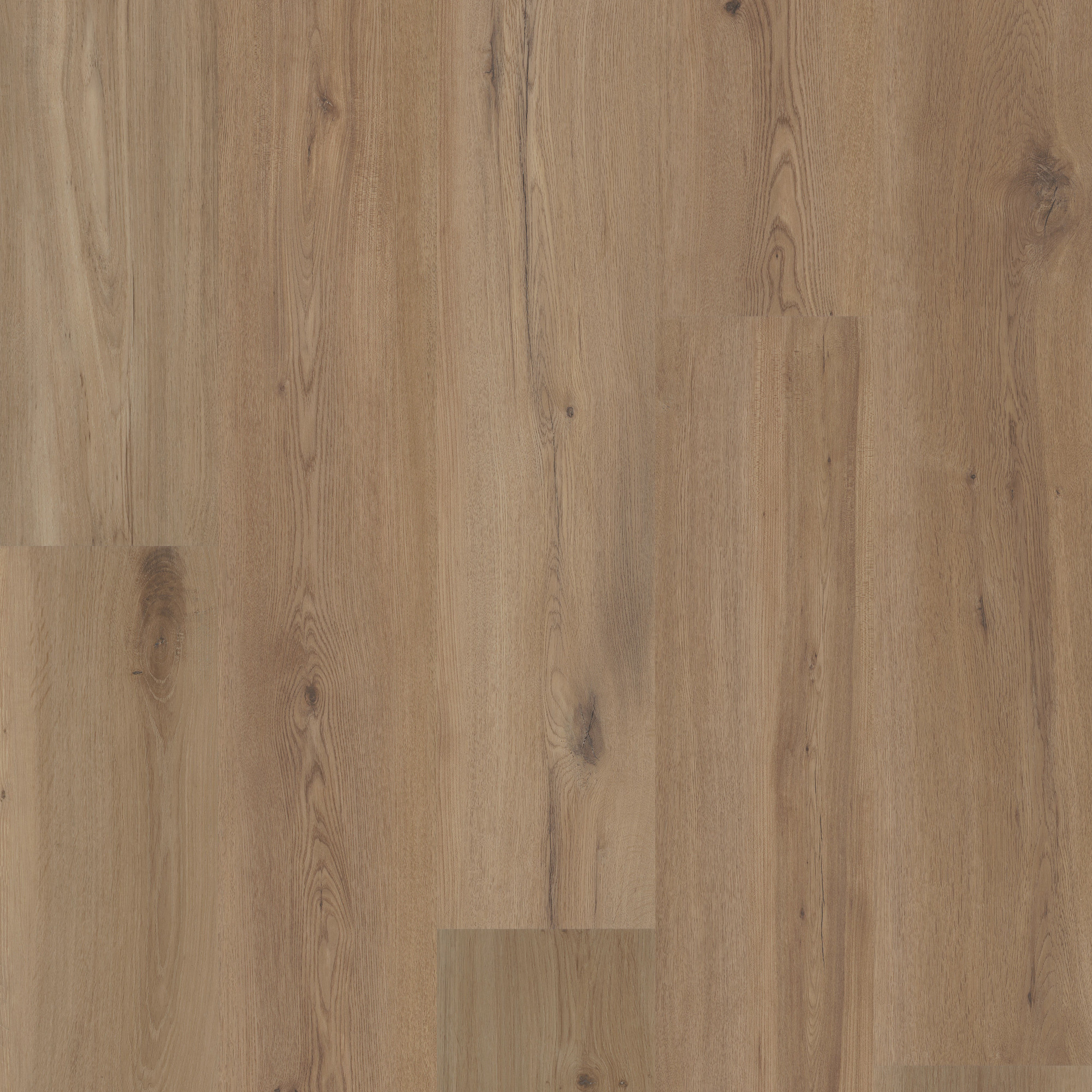 Parchment Oak, laid flat, seen from above