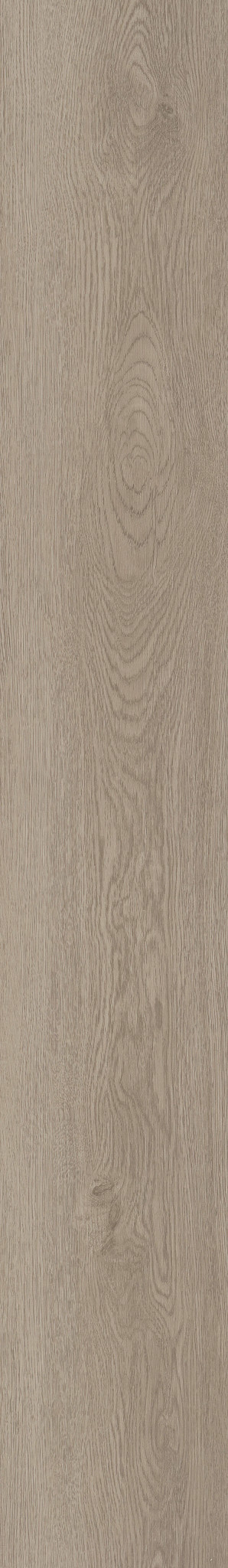 South Bay swatch