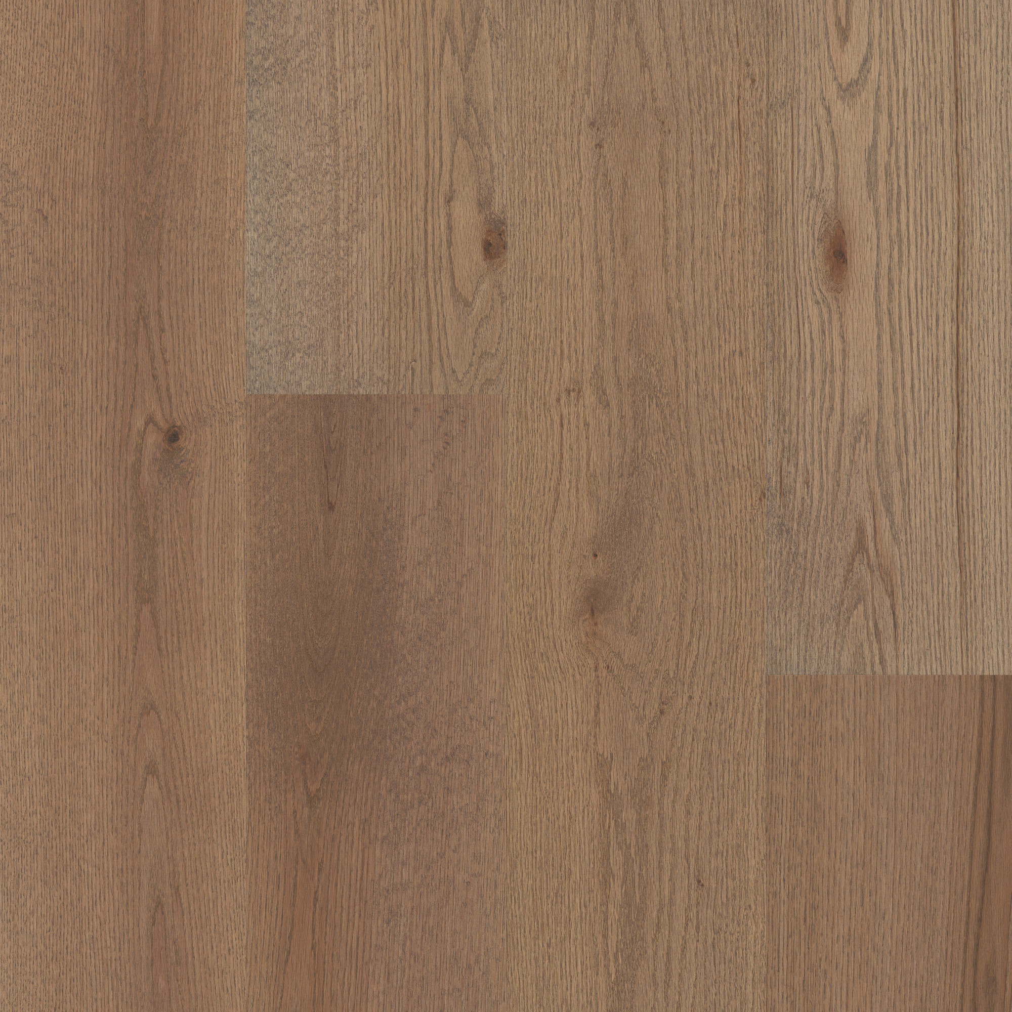 Great Basin swatch