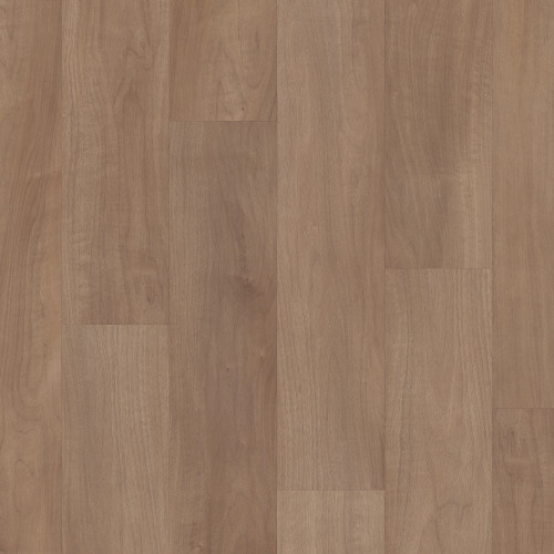 Tawny Beech