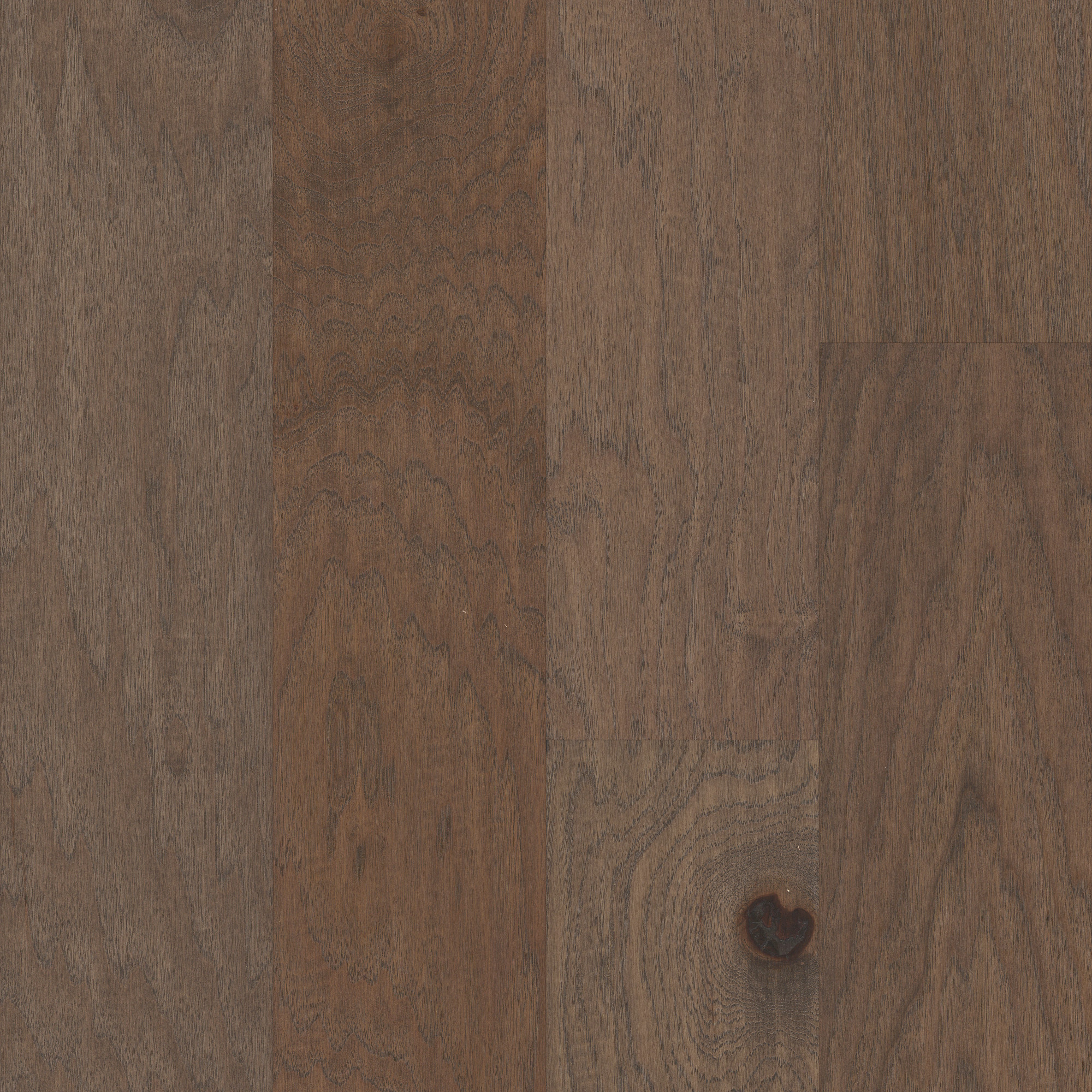 Mesquite swatch
