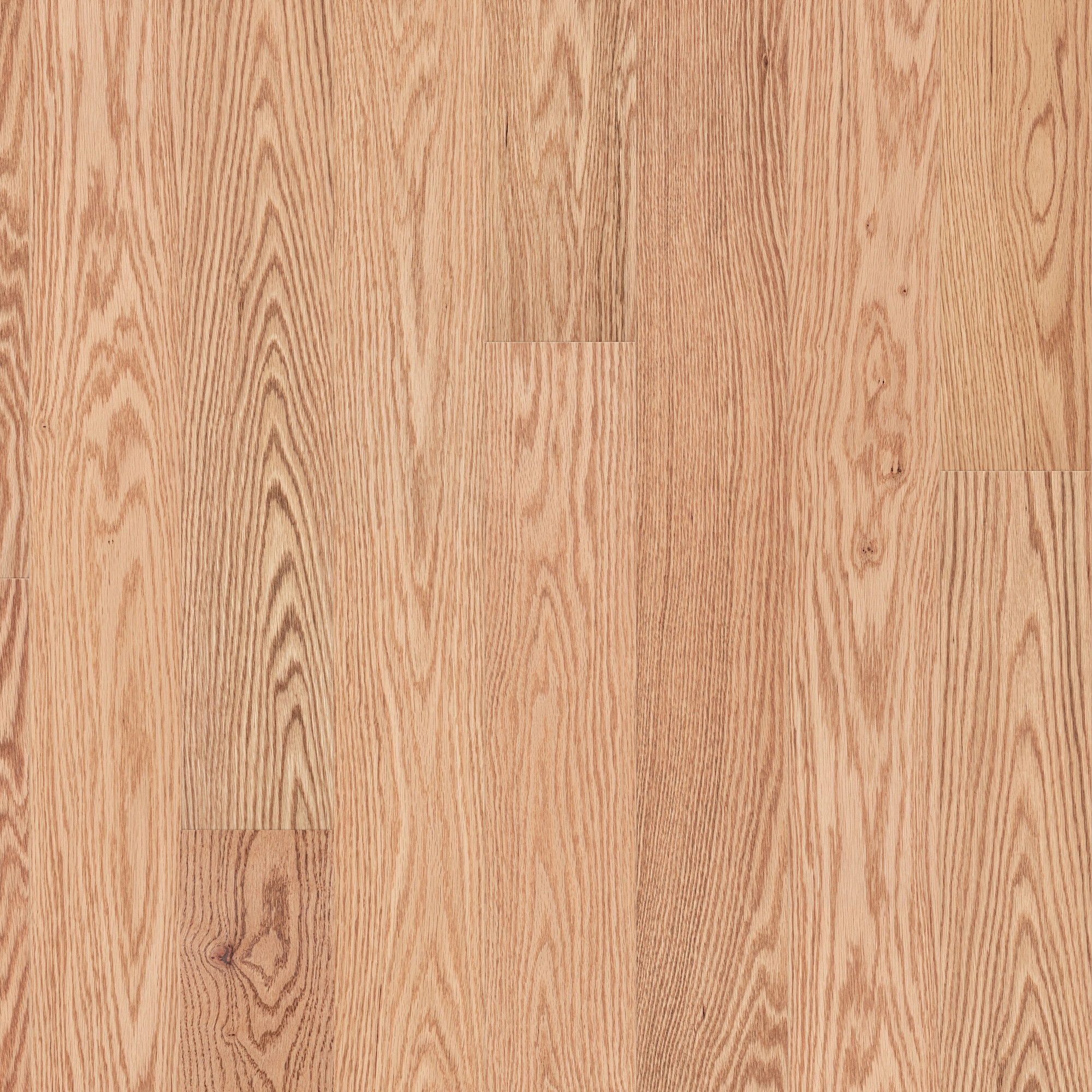 Natural Red Oak swatch
