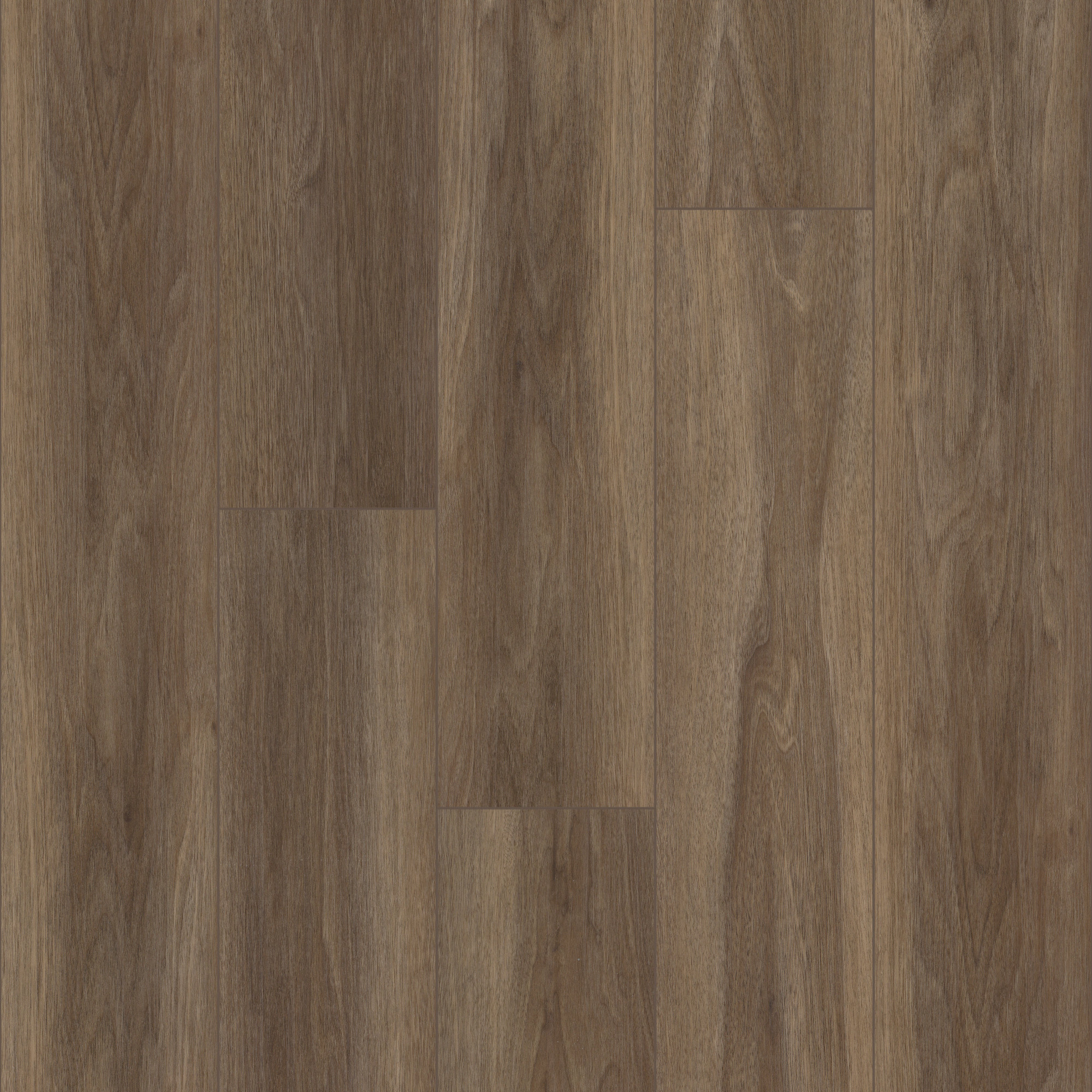 Wire Walnut swatch