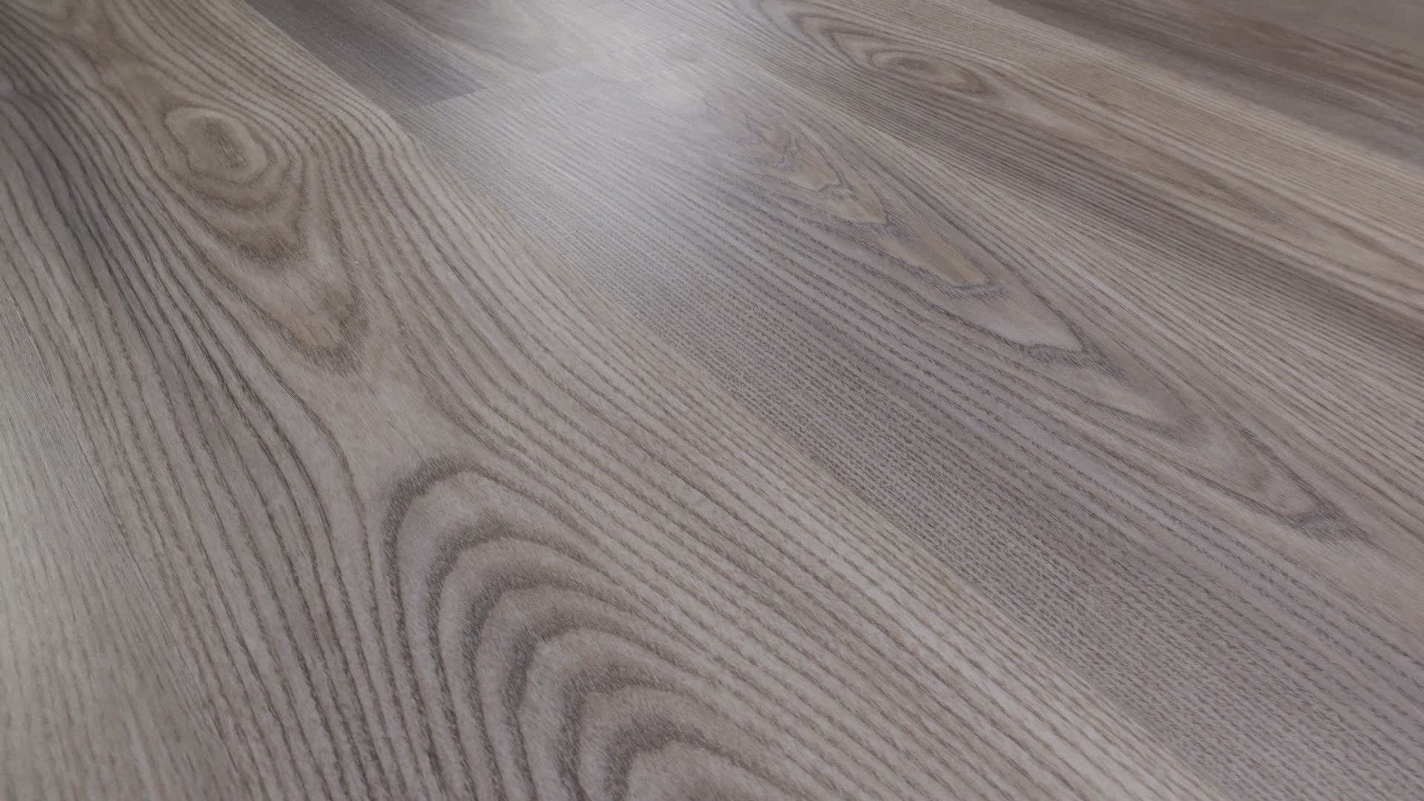 Grey Chestnut, the manufacturer's 360 video