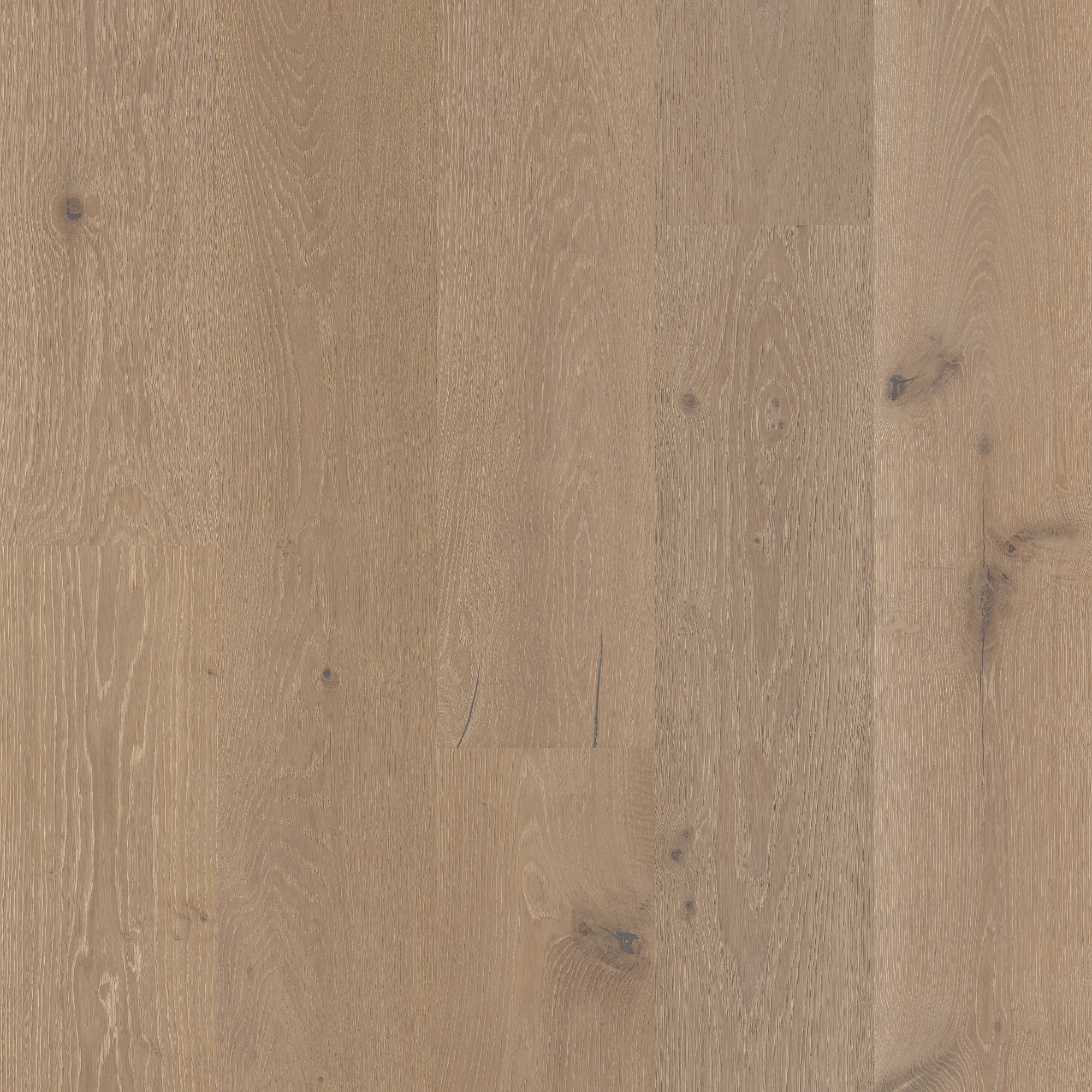 Langdon Court swatch
