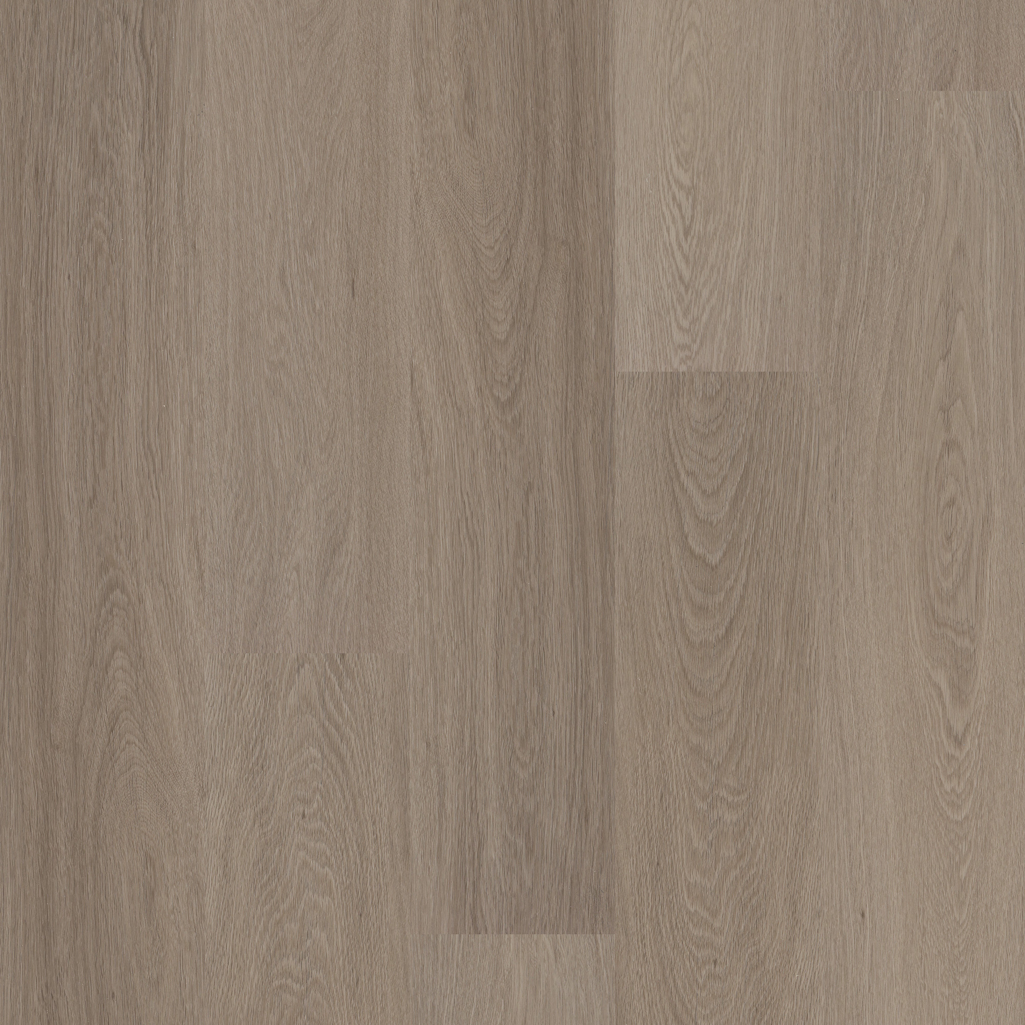 Executive Oak swatch