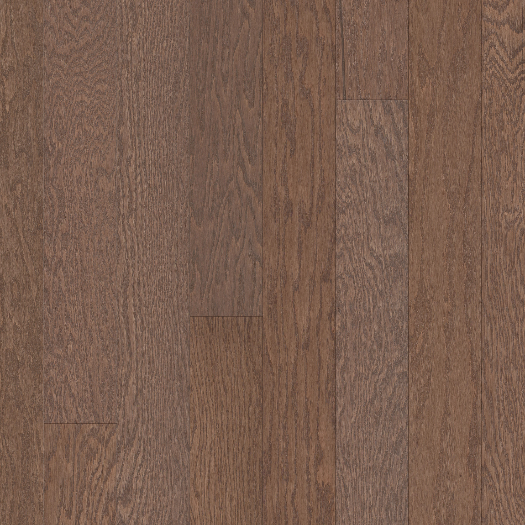Flax Seed Lg swatch