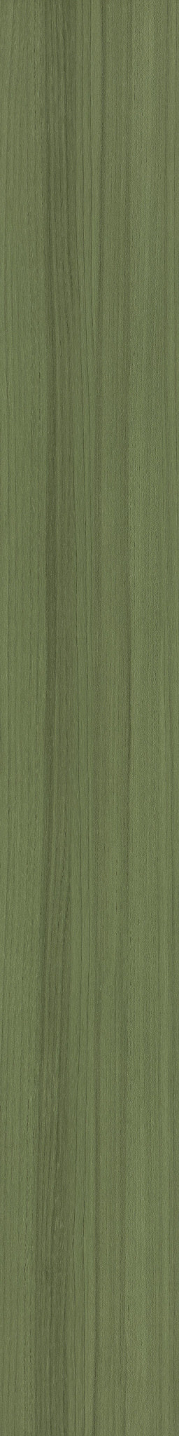 Cactus swatch