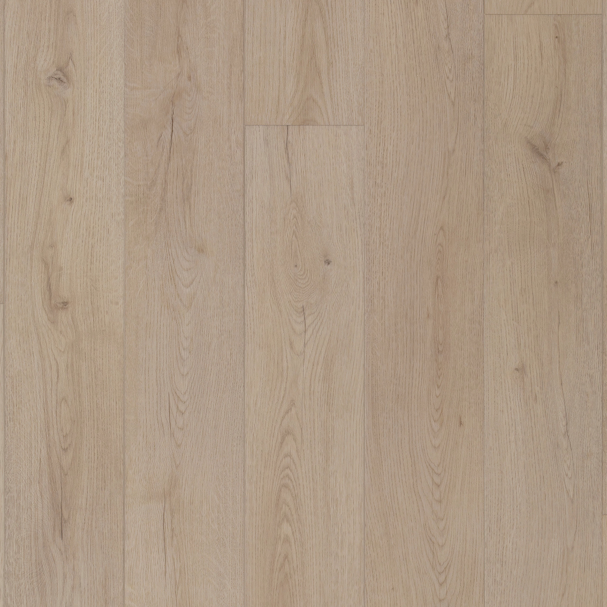 Ferndown Oak swatch