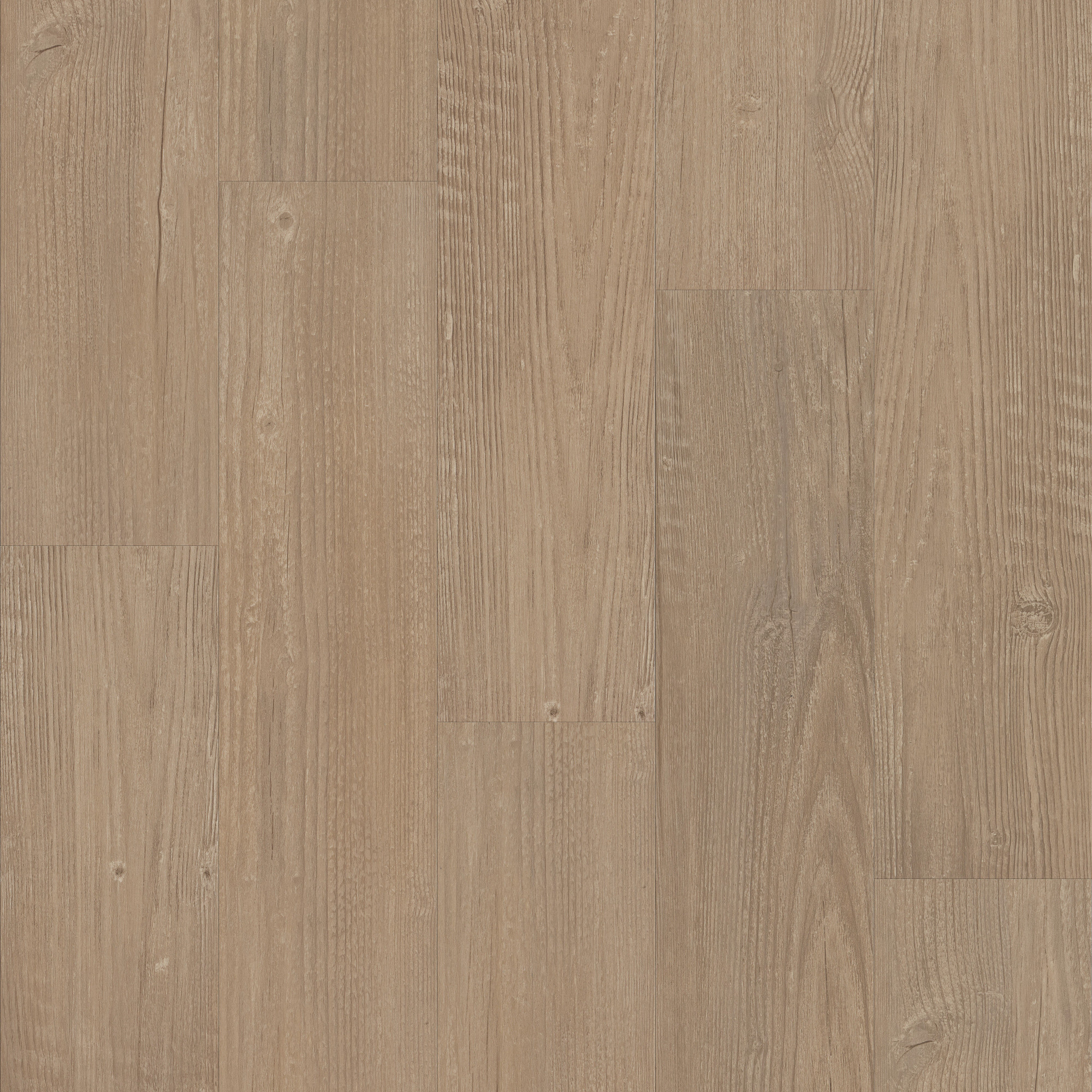 Simple Wash, laid flat, seen from above