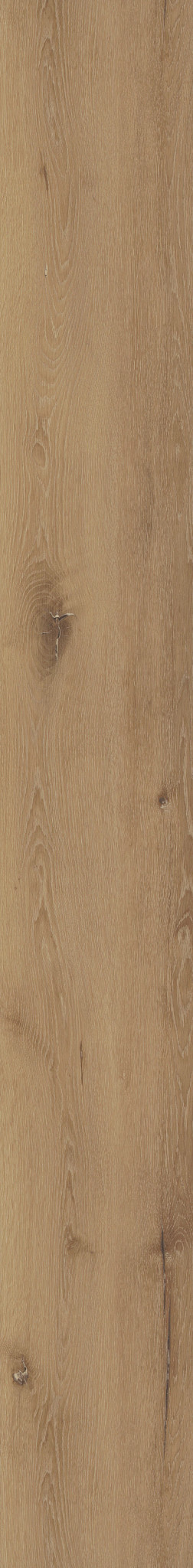 Cairo Oak swatch