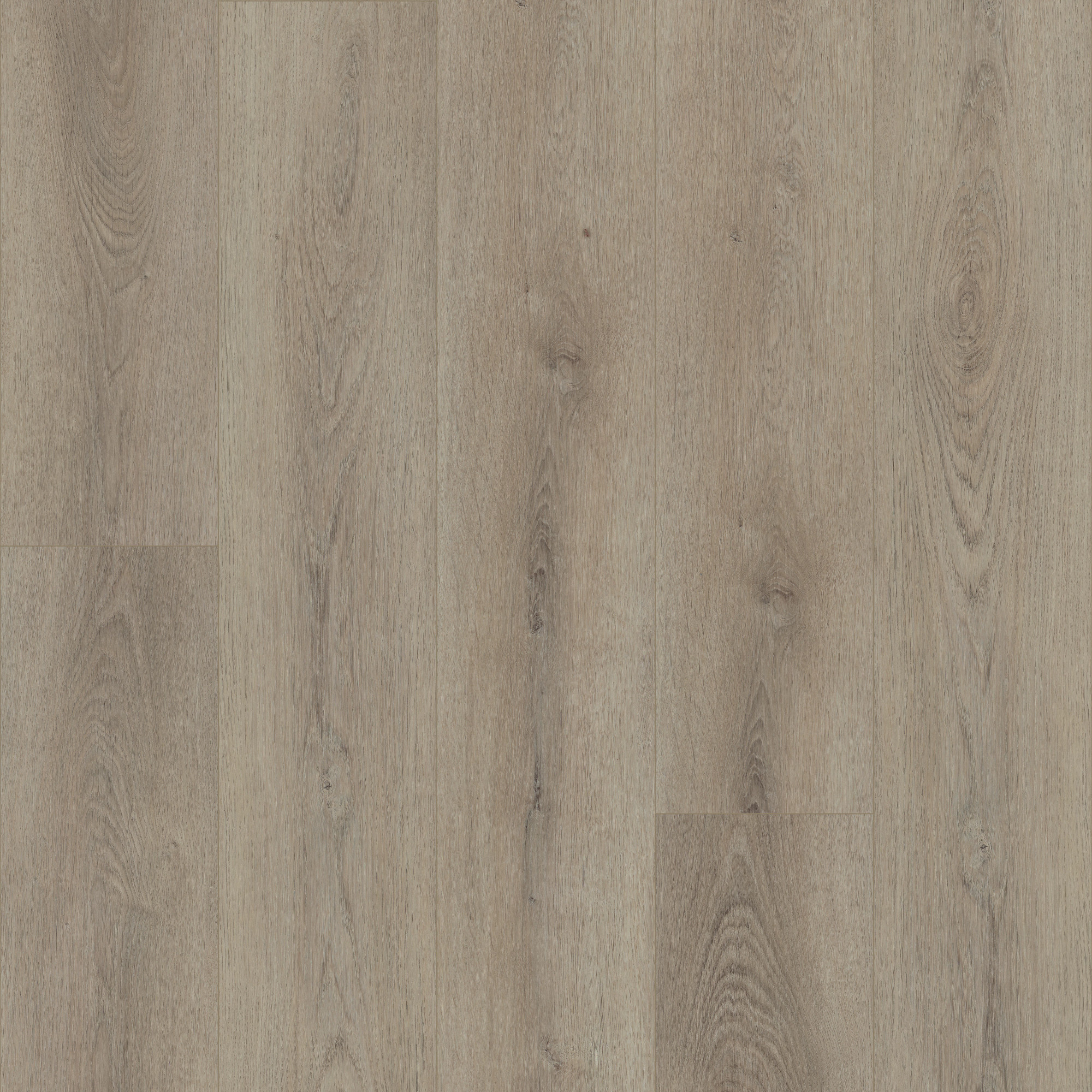 Toasted Taupe swatch