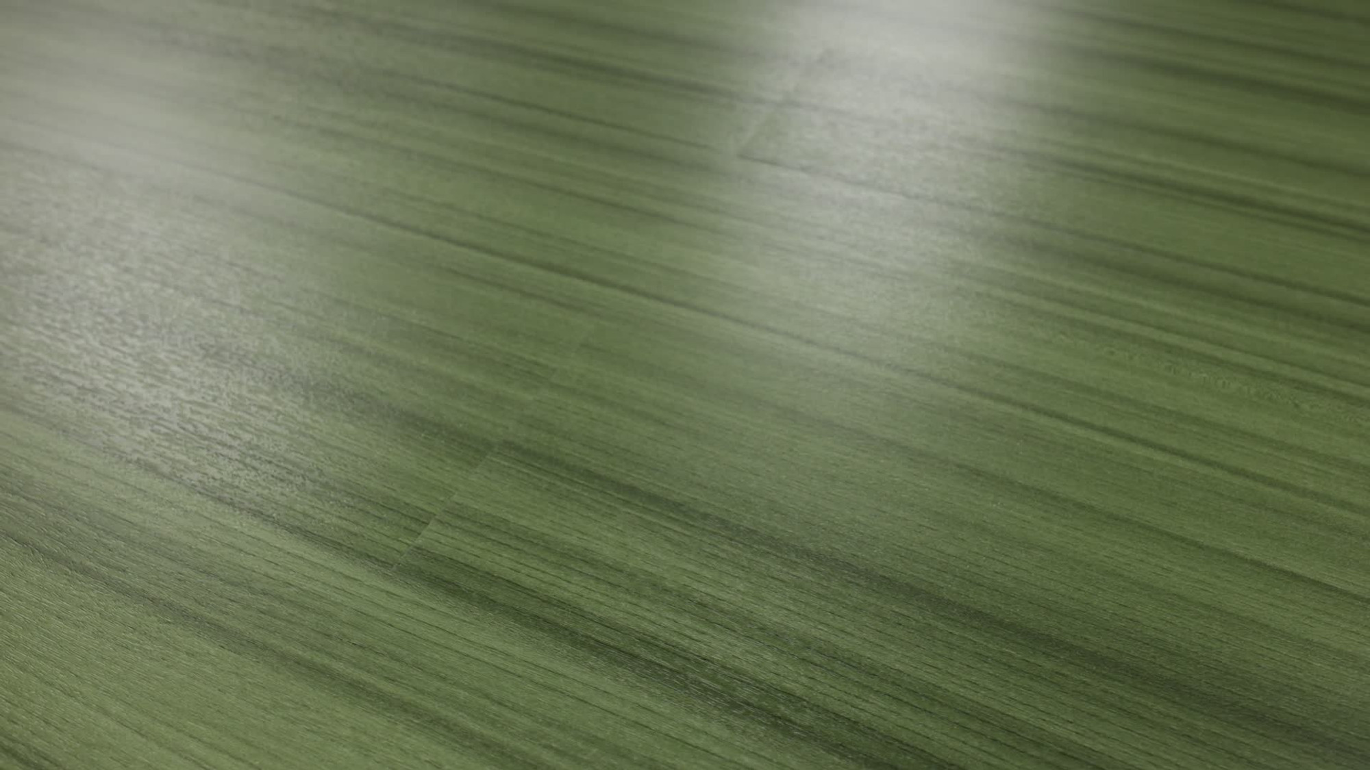 Cactus, the manufacturer's 360 video