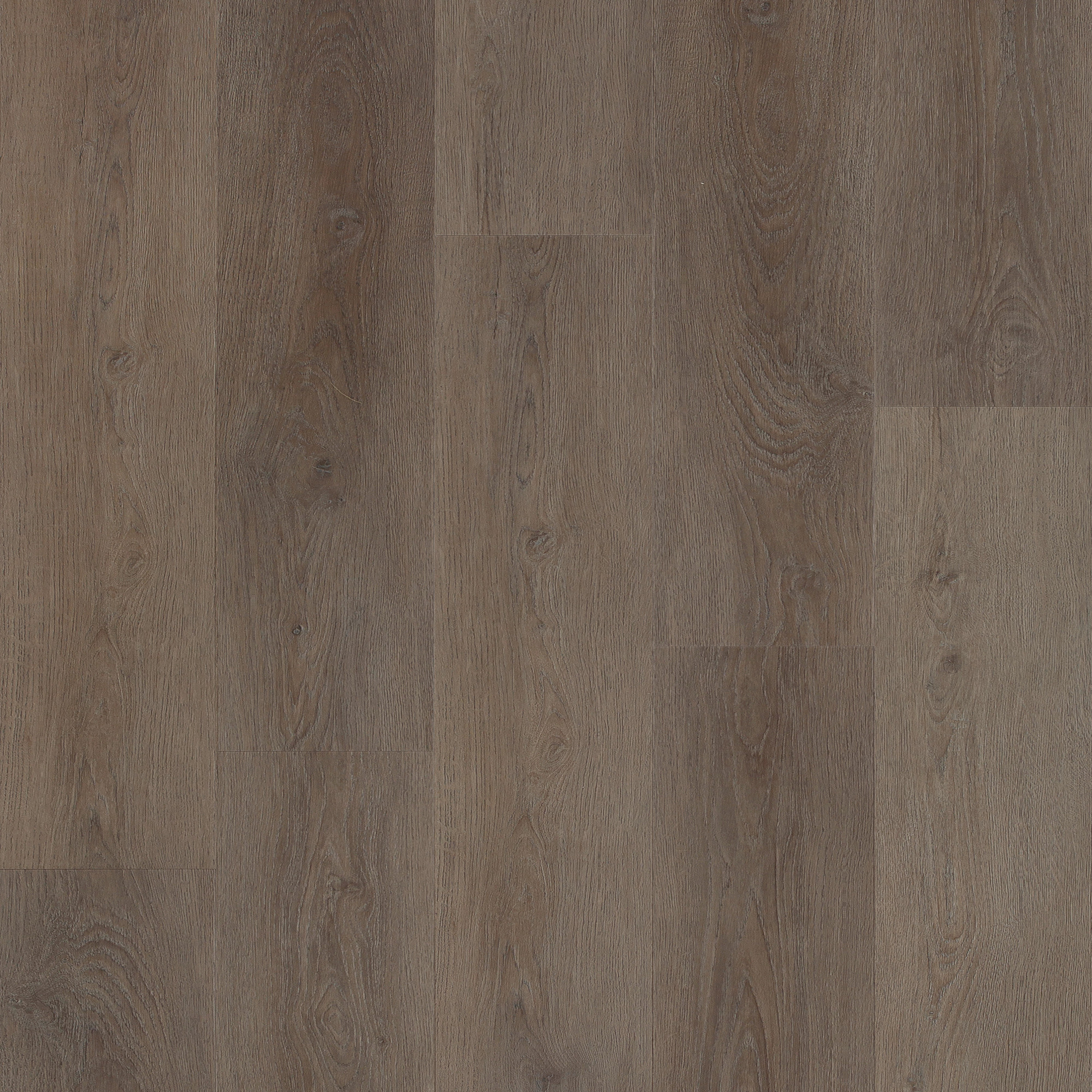 Eastwell  Oak swatch