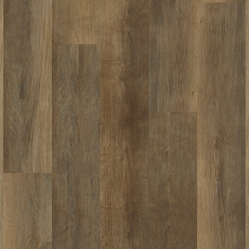Highlight Oak