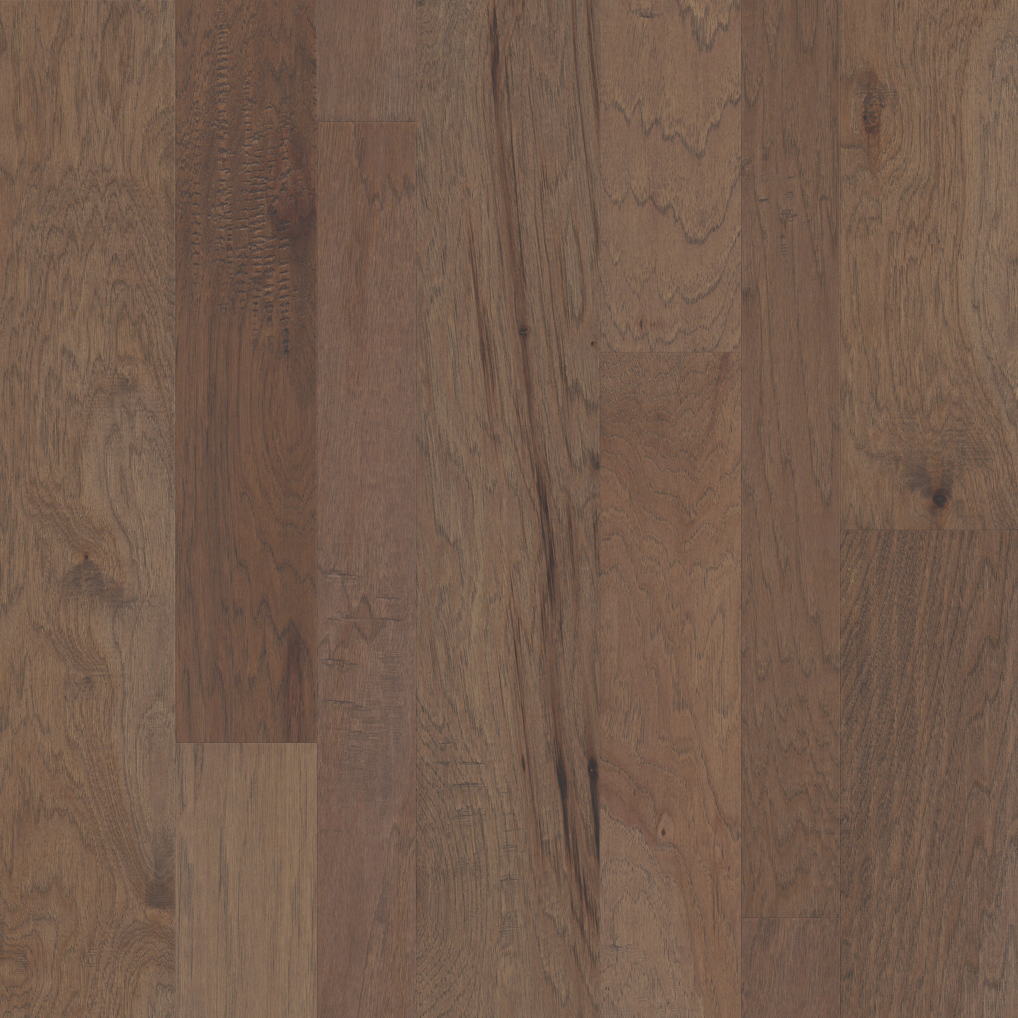 Cassia Bark swatch