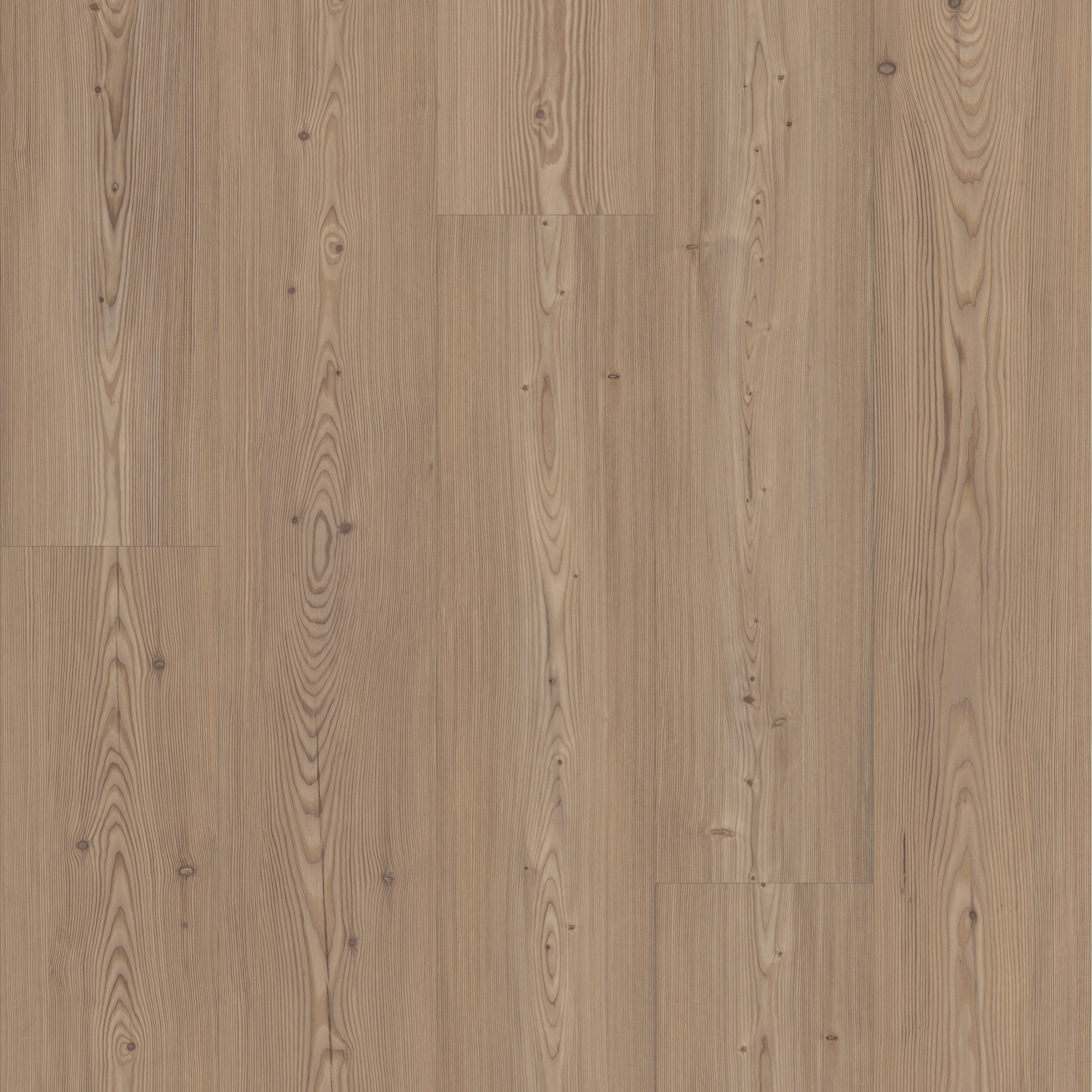 Lodge swatch