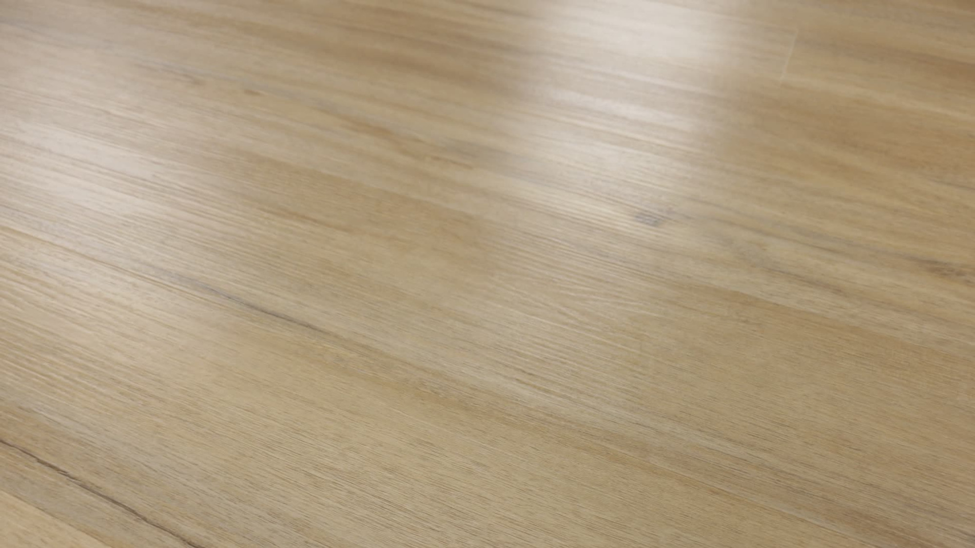 Dodwell Oak, the manufacturer's 360 video