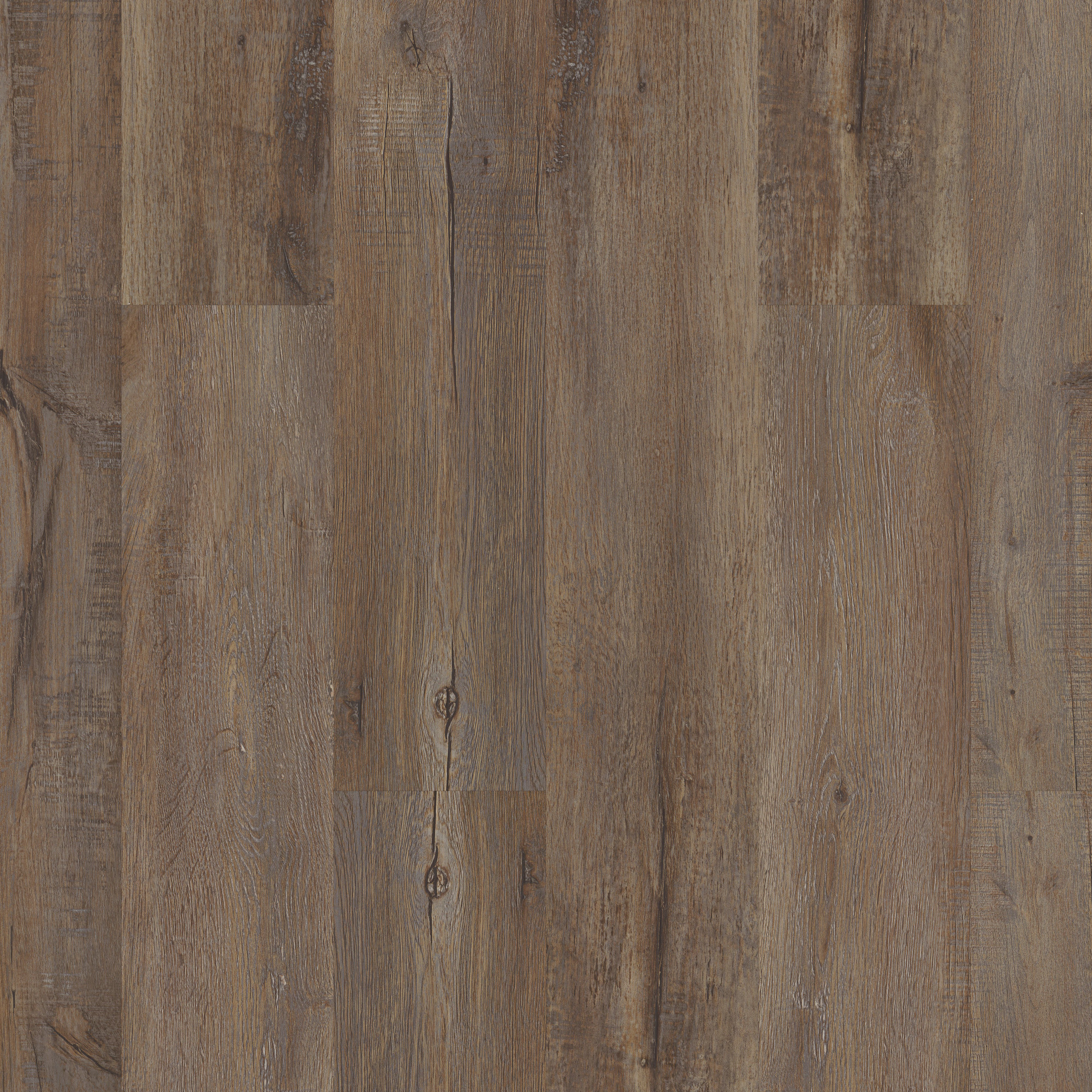 Modeled Oak, laid flat, seen from above