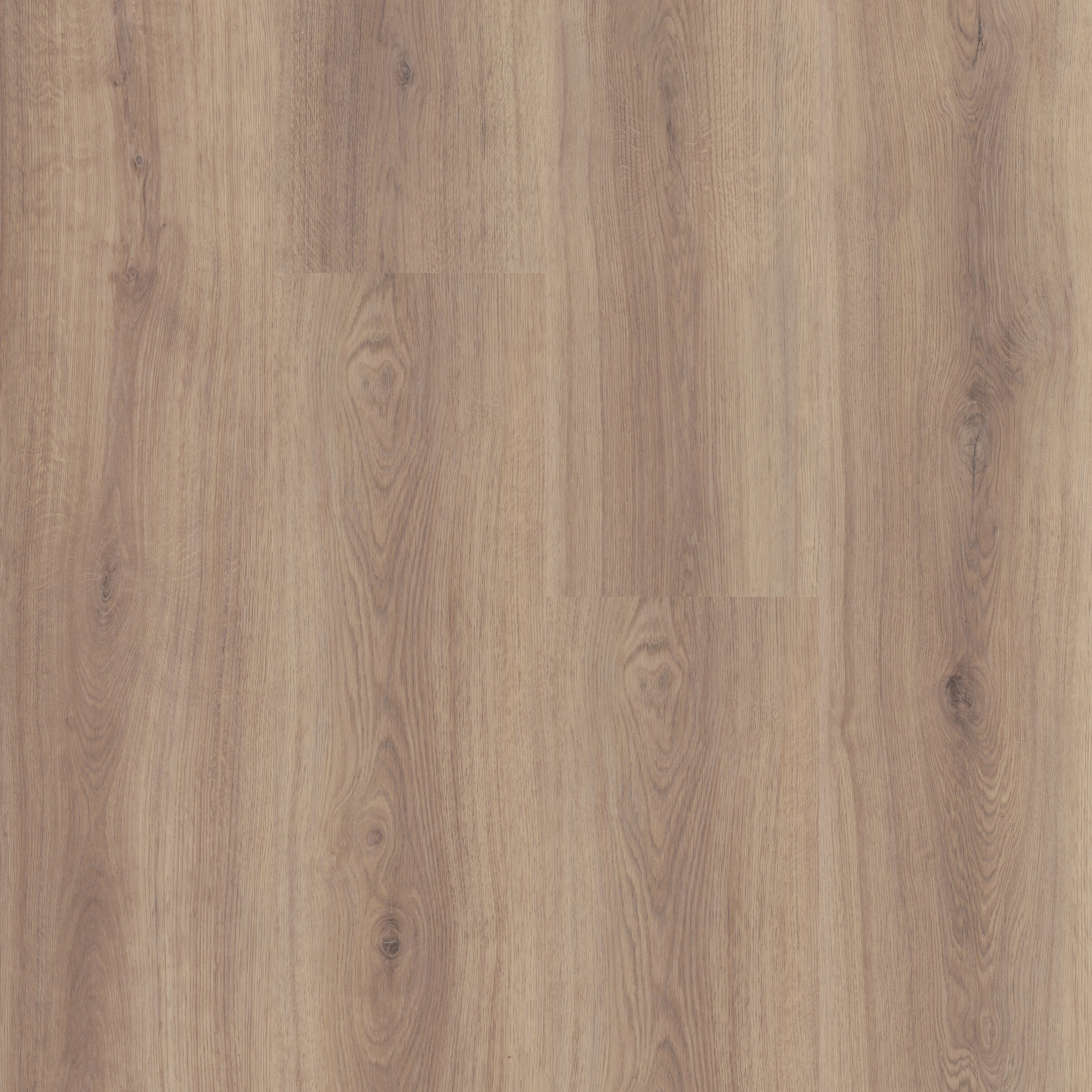 Feathered Oak swatch
