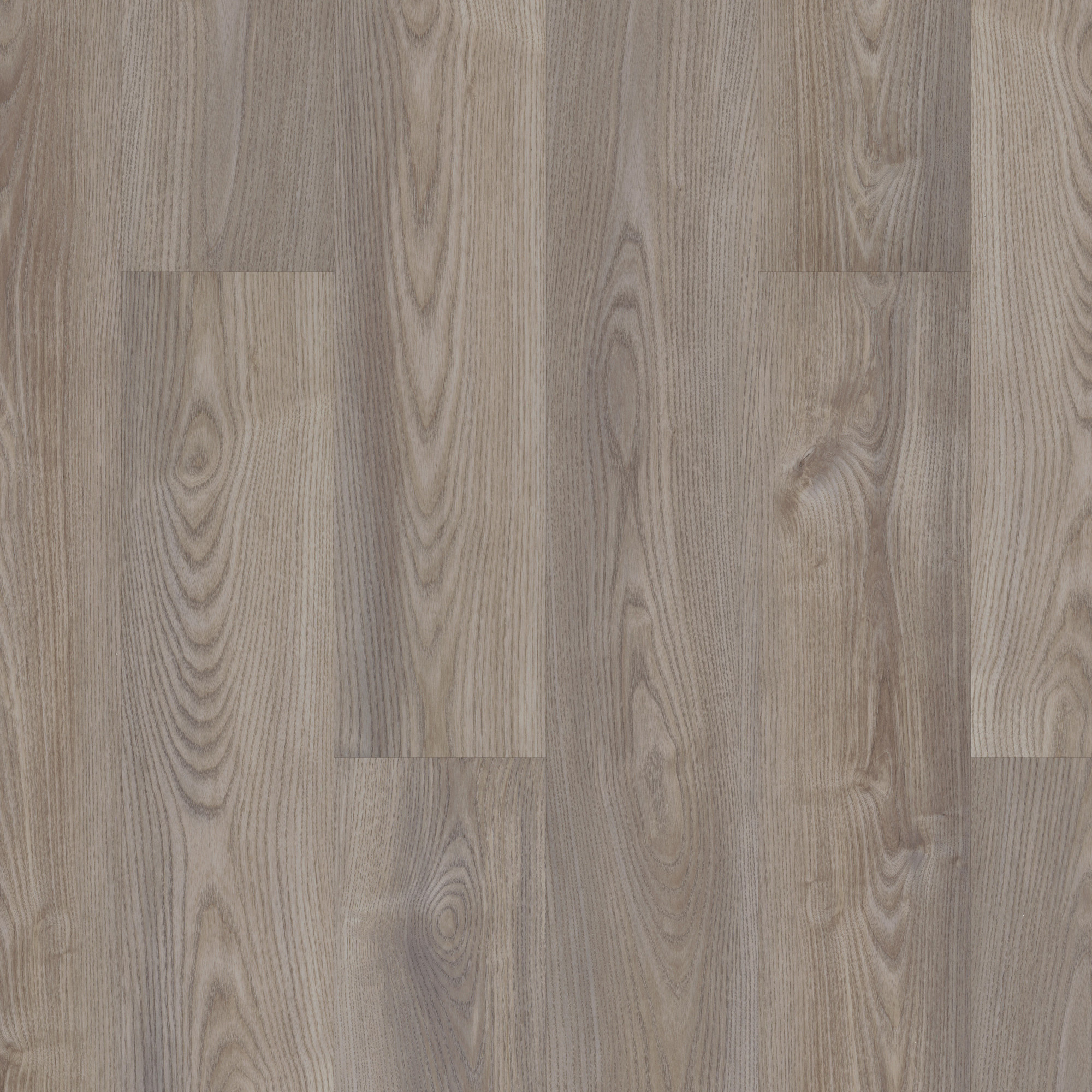 Grey Chestnut swatch