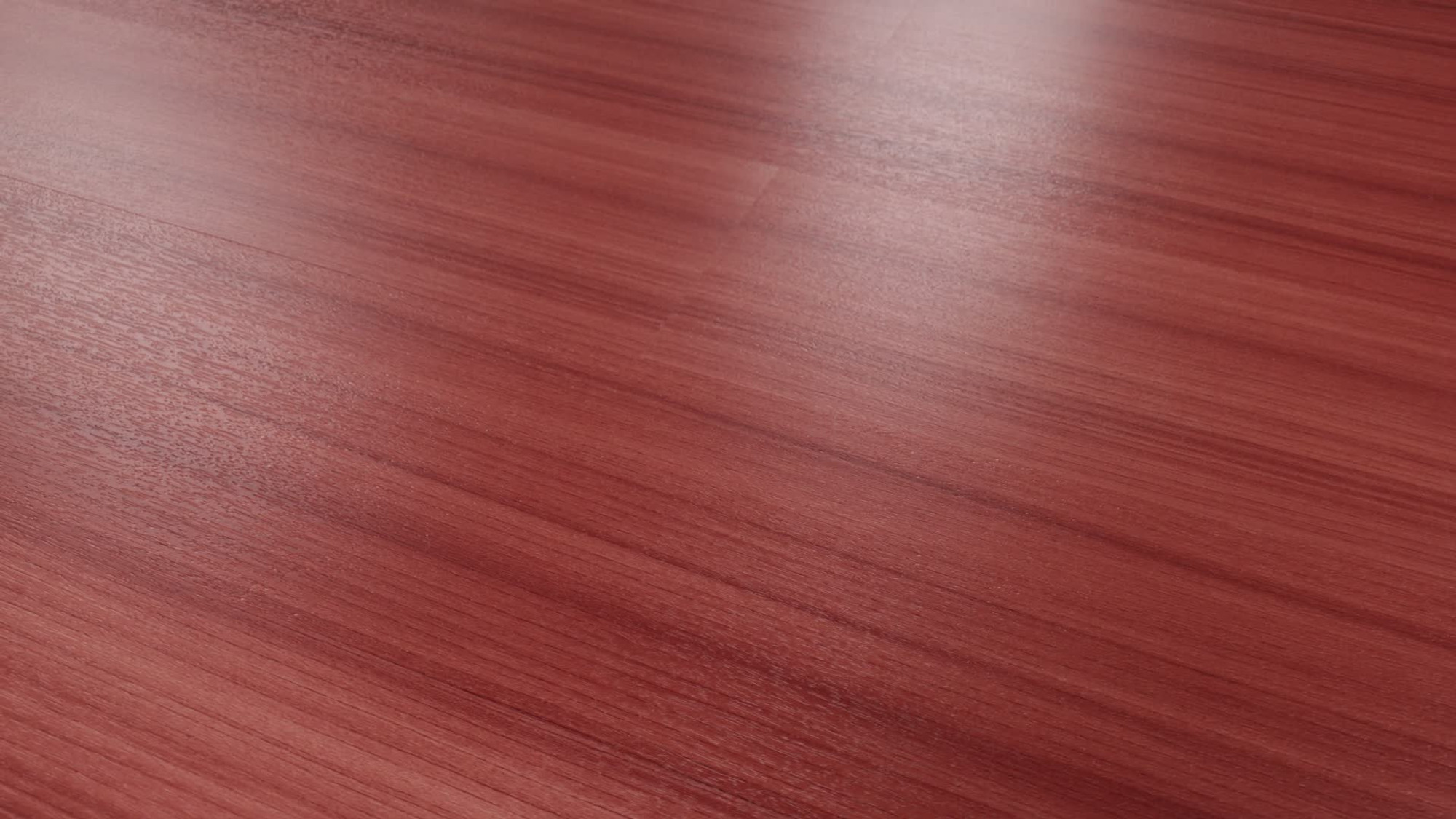 Coral, the manufacturer's 360 video