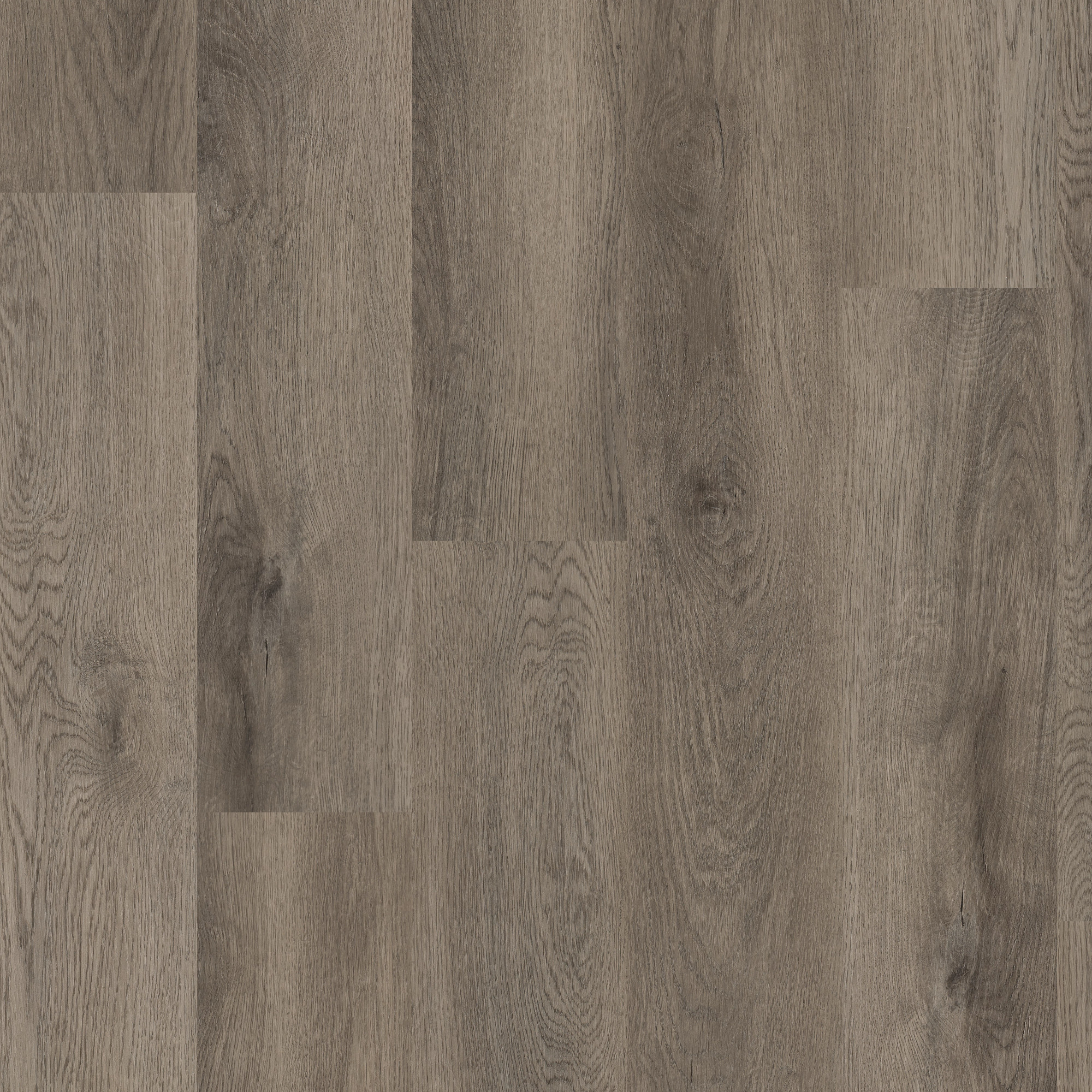 Elliptical Oak swatch