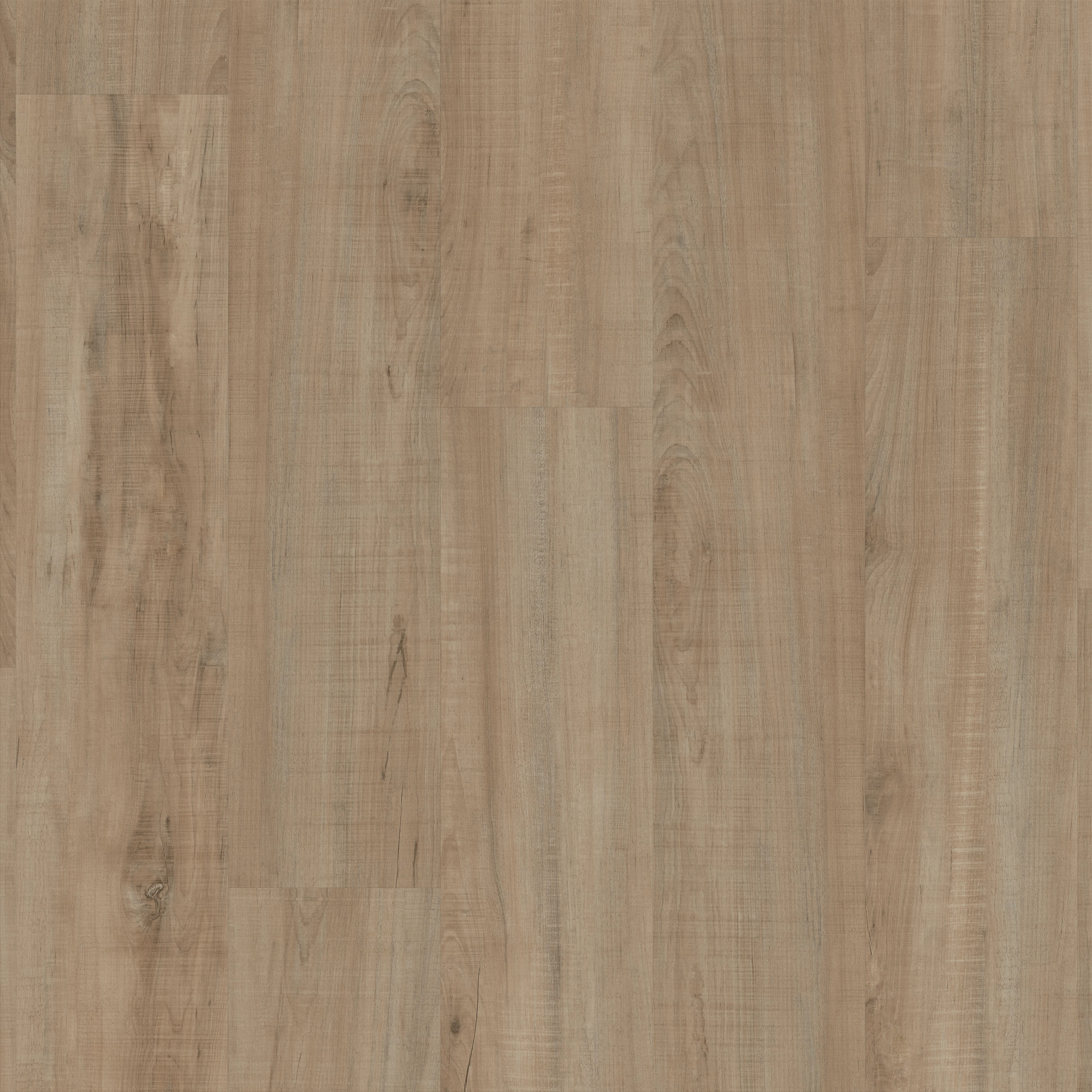 Chatter Oak swatch