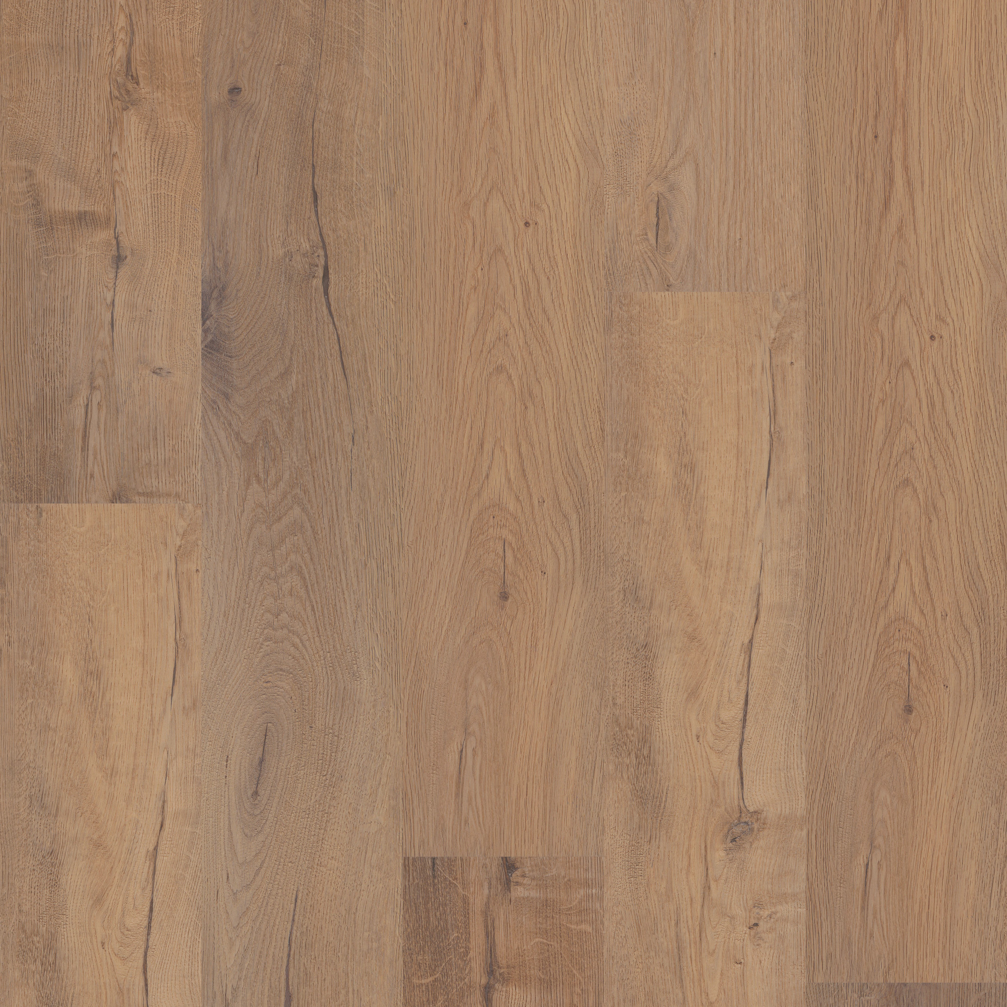 Sand Dollar Oak swatch