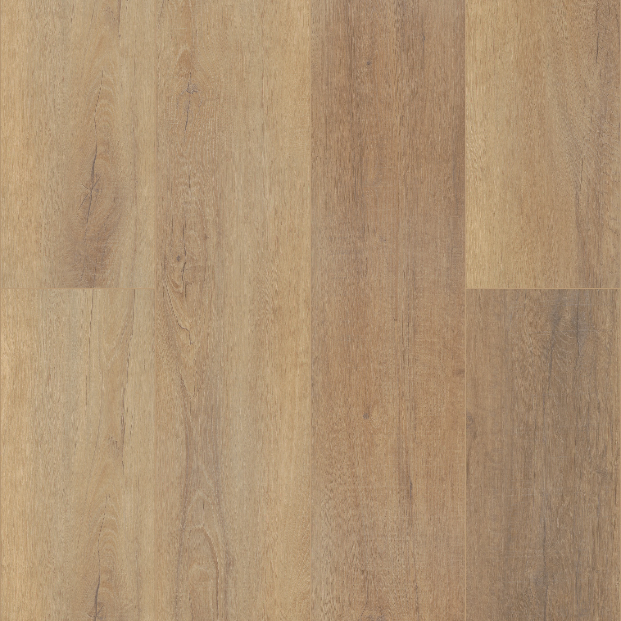 Canterbury Elm swatch