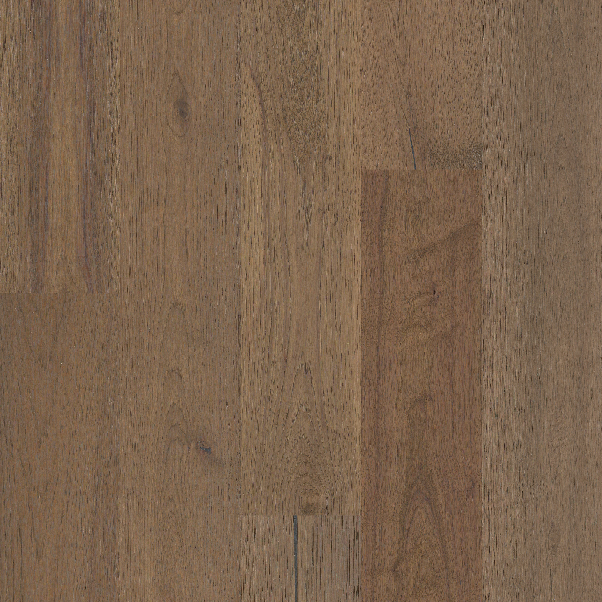 Romanesque swatch