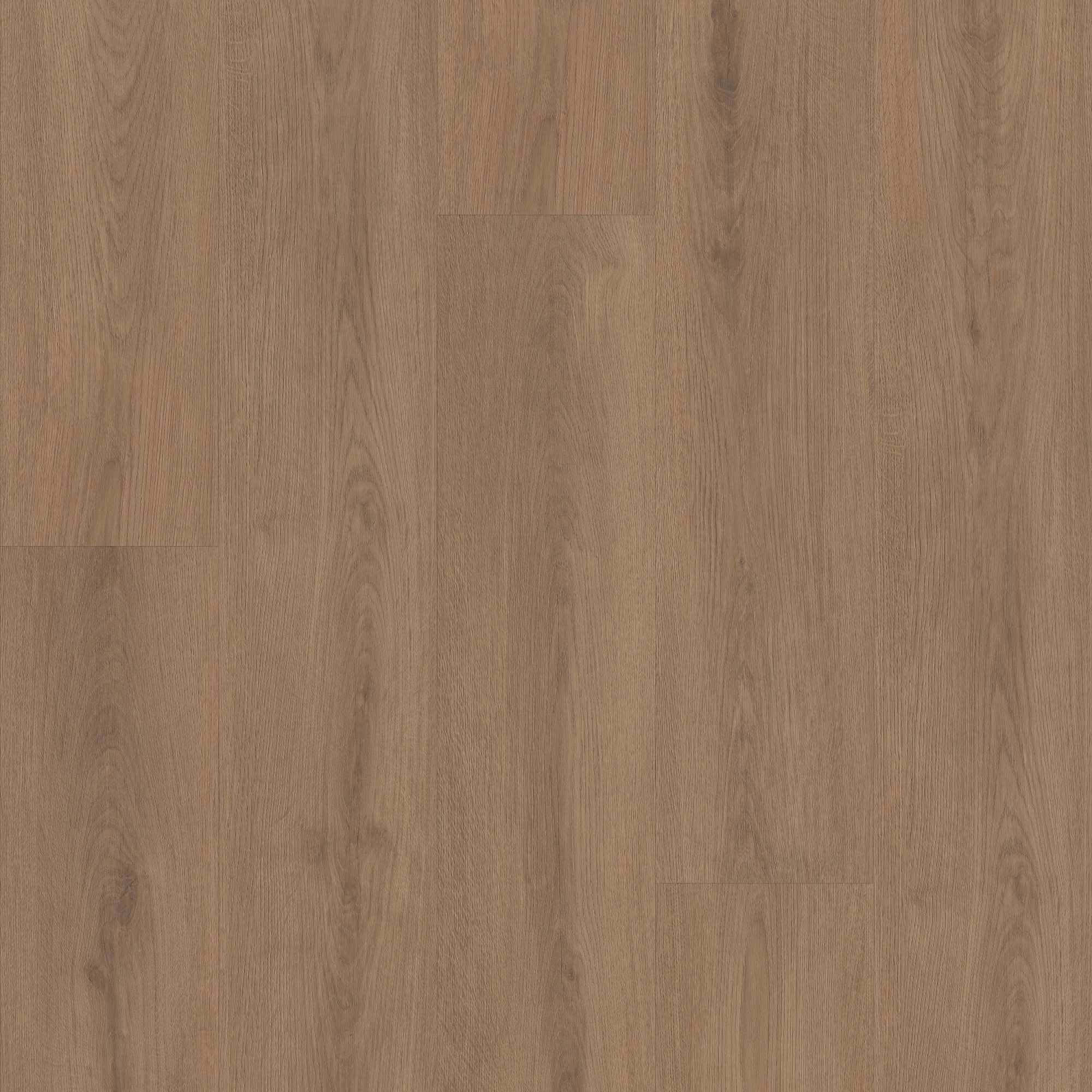 Dwell swatch