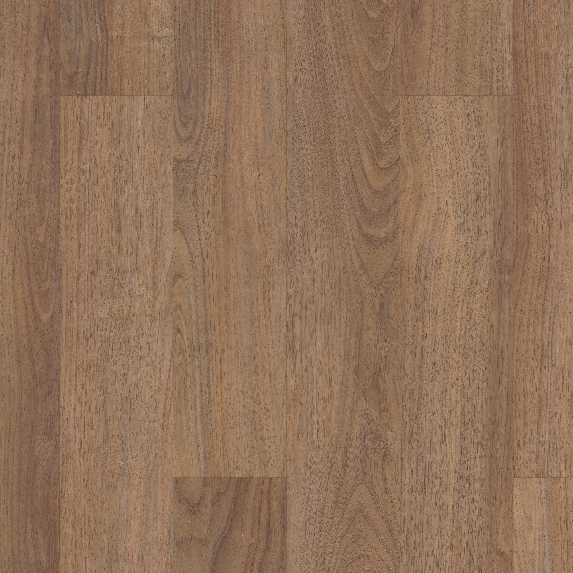 Dakota Walnut swatch