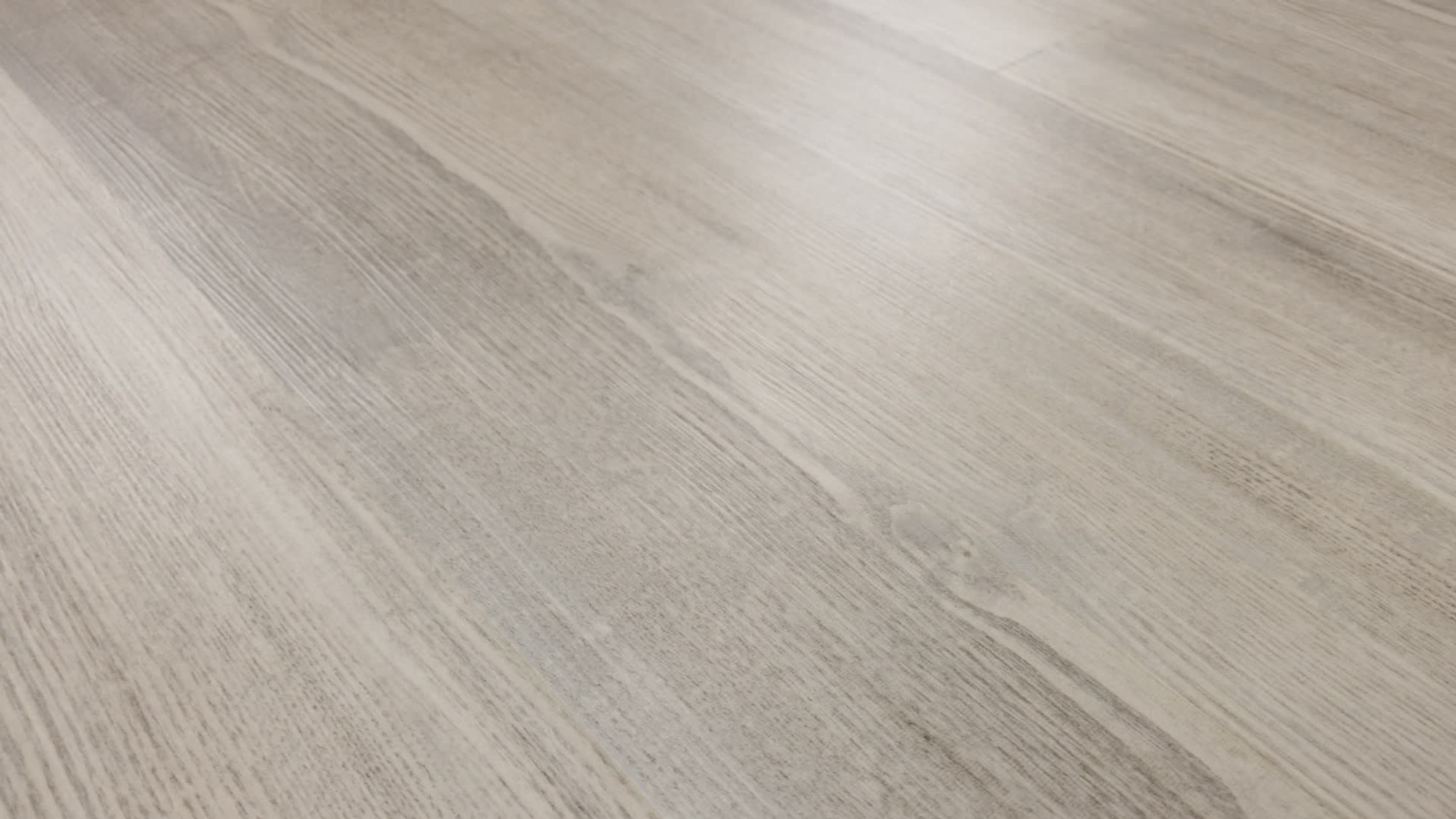 Shoreline, the manufacturer's 360 video