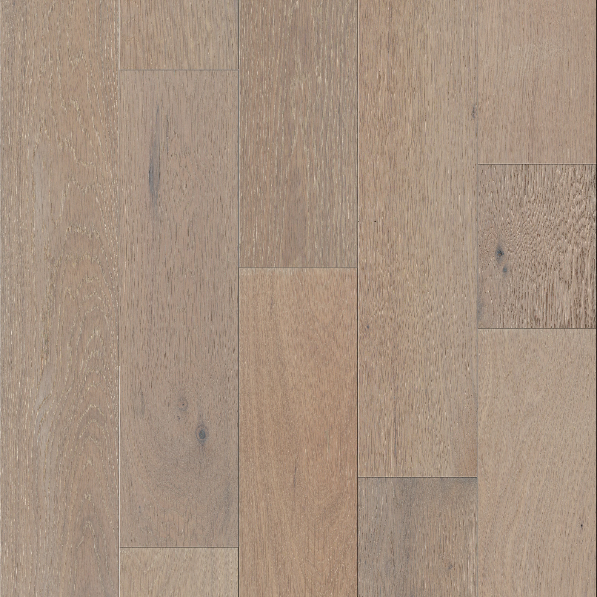Holland Park, laid flat, seen from above
